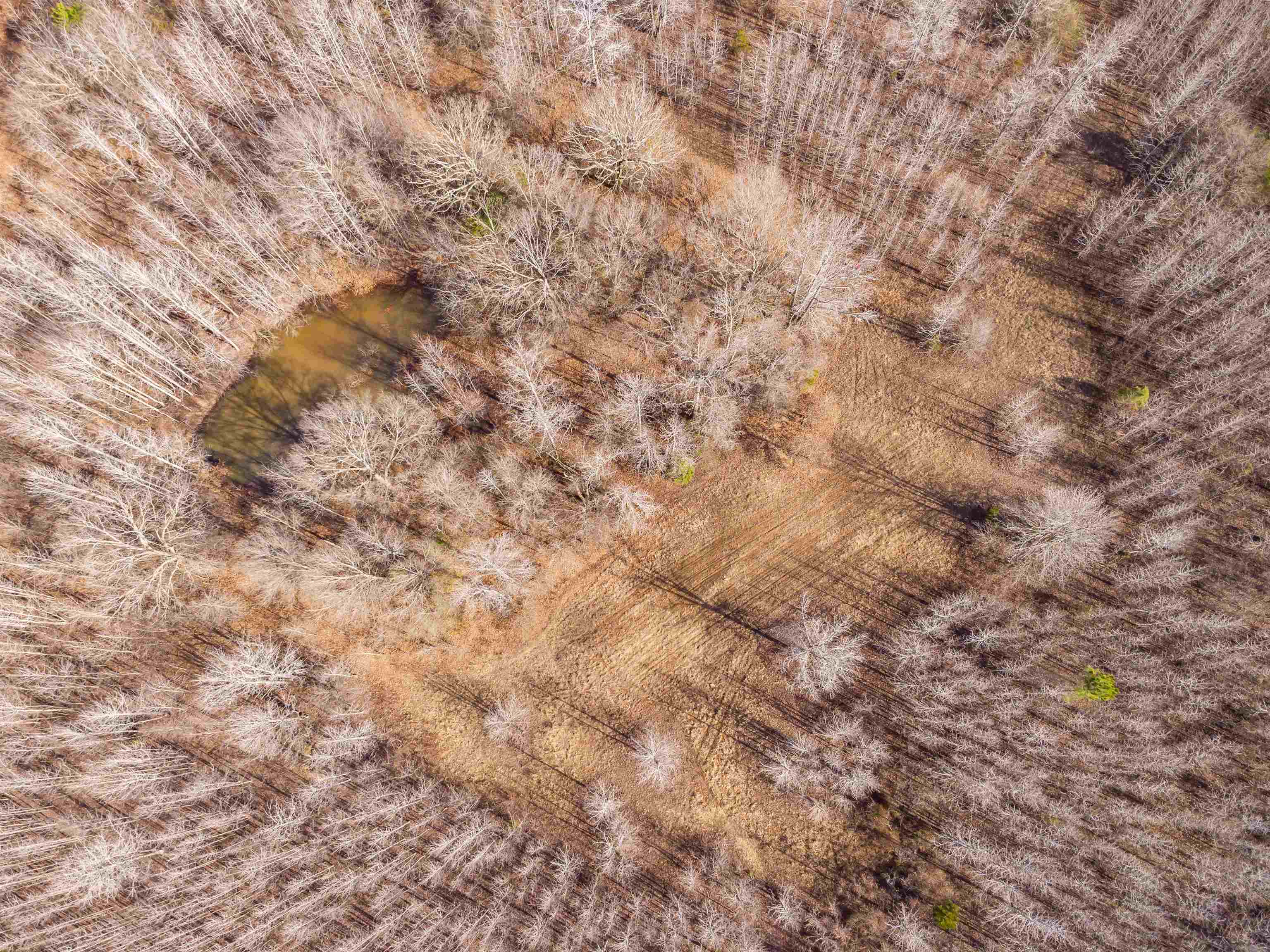 Metes & Bounds - Land