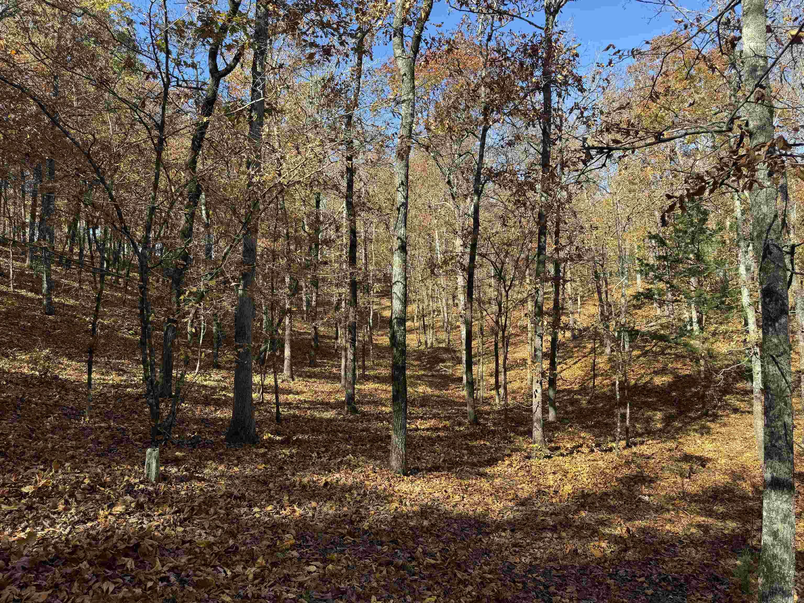 Not in Subdivision - Land