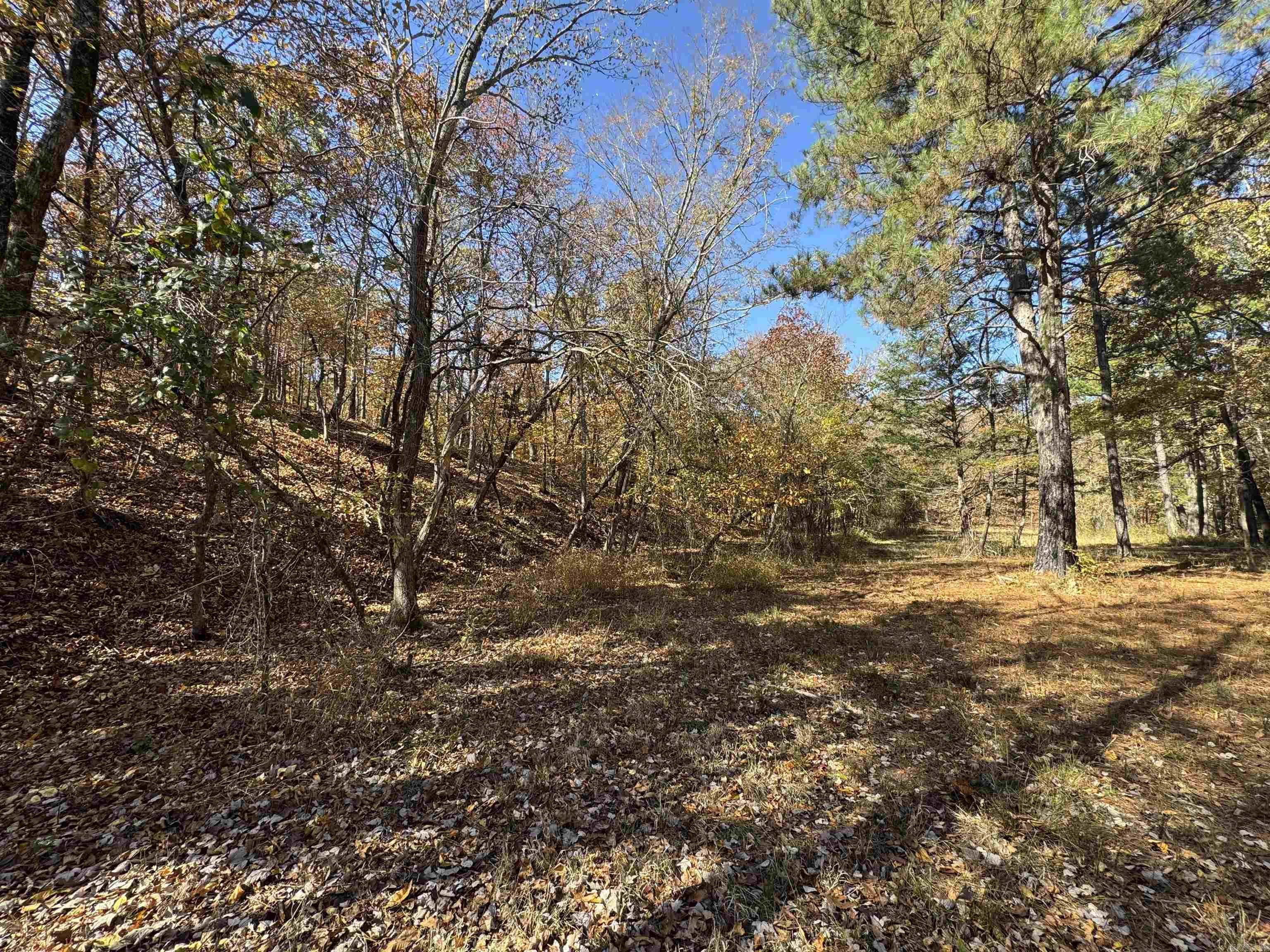 Not in Subdivision - Land