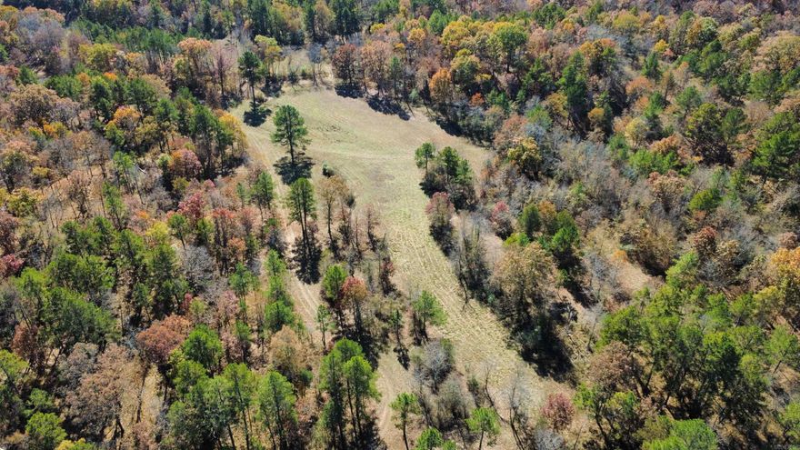 Located in Garland County near the Jessieville community, this 80 +/- acre property offered for sale is great for the outdoor enthusiasts and those looking to build their dream home while having privacy. The property has historically been used for deer and turkey hunting and is it has been very successful in doing so. The huge abundance of mixed hardwoods offers great food and habitat for the surrounding wildlife. The property has been on a control burn rotation for several years now providing excellent forage and bedding for deer and turkeys. The pasture areas give one great opportunities for food plots or a small livestock operation.  The rolling hills and great views offer so many great home sites. With many homes down the road, utilities are nearby. This property has been well taken care of and is ready for its new owners to enjoy.
