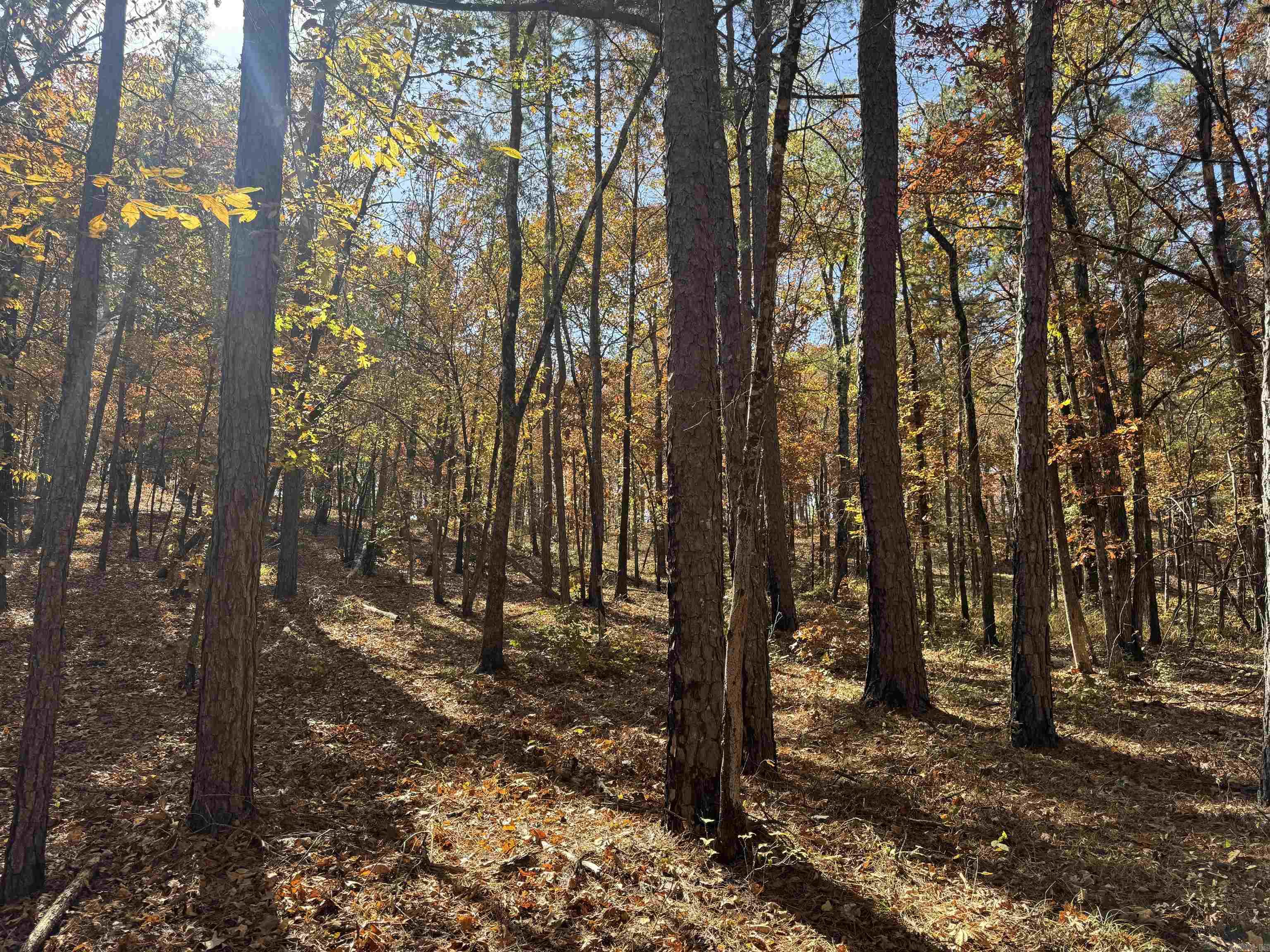 Not in Subdivision - Land