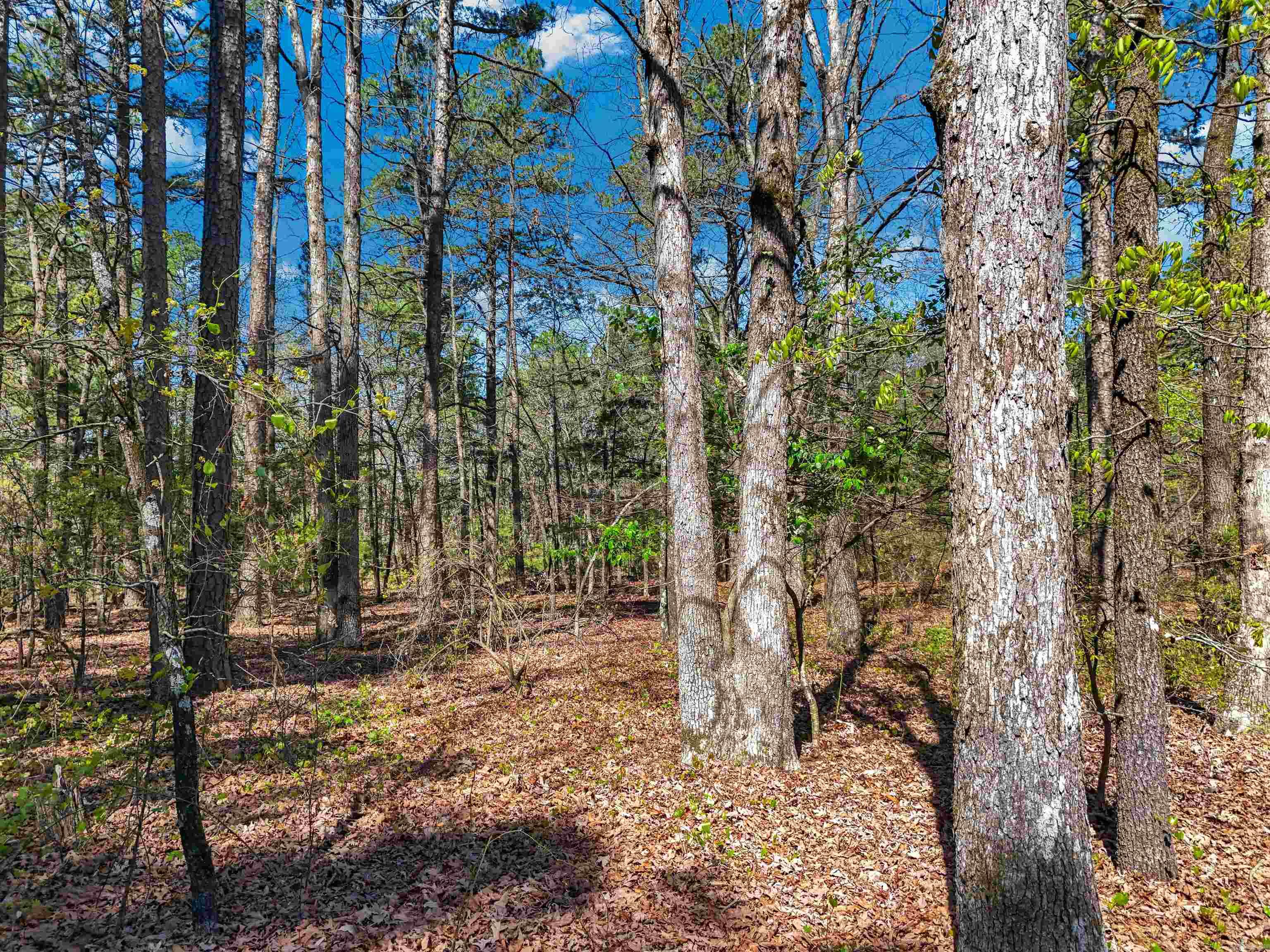 INDIAN HILLS - Residential