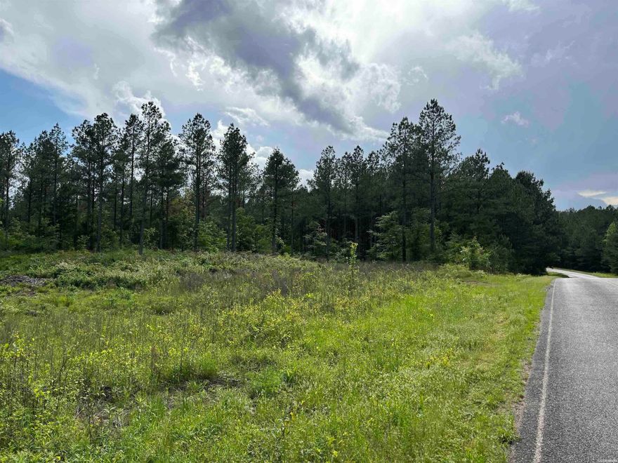 120 +/- wooded acres bordered by Ouachita national forest for sale. There are 85 acres on the North side of Old Dallas Rd and 35 acres on the South side. Timber could be harvested now or wait for better yield in the future.