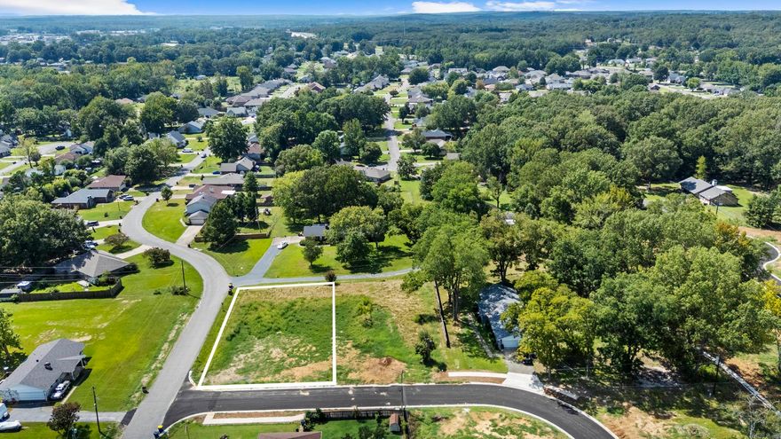 Level lot in Caiden Place subdivision in the heart of Cabot! Located within the highly rated Cabot School District, easy access to shopping, dining, and just a few miles from Little Rock and the Air Force Base! It is a must see! See agent remarks.
