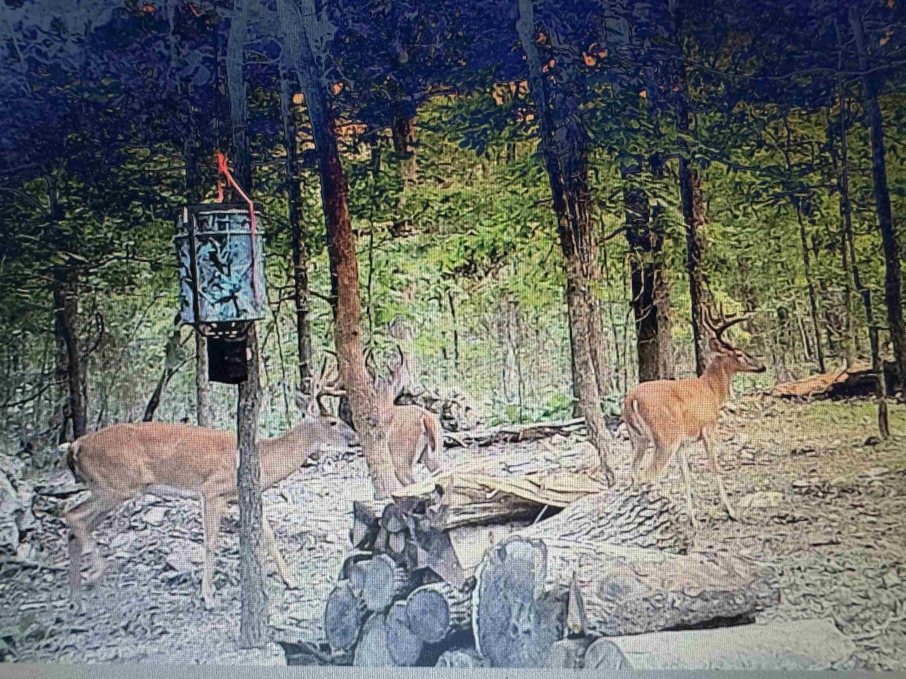 Metes & Bounds - Land