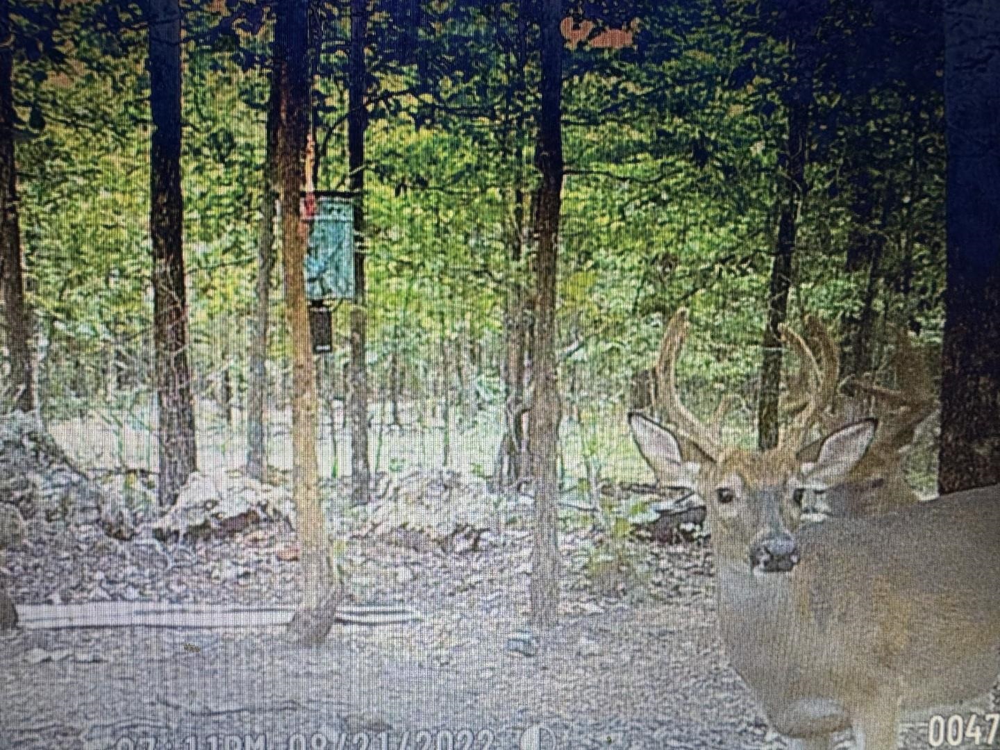 Metes & Bounds - Land