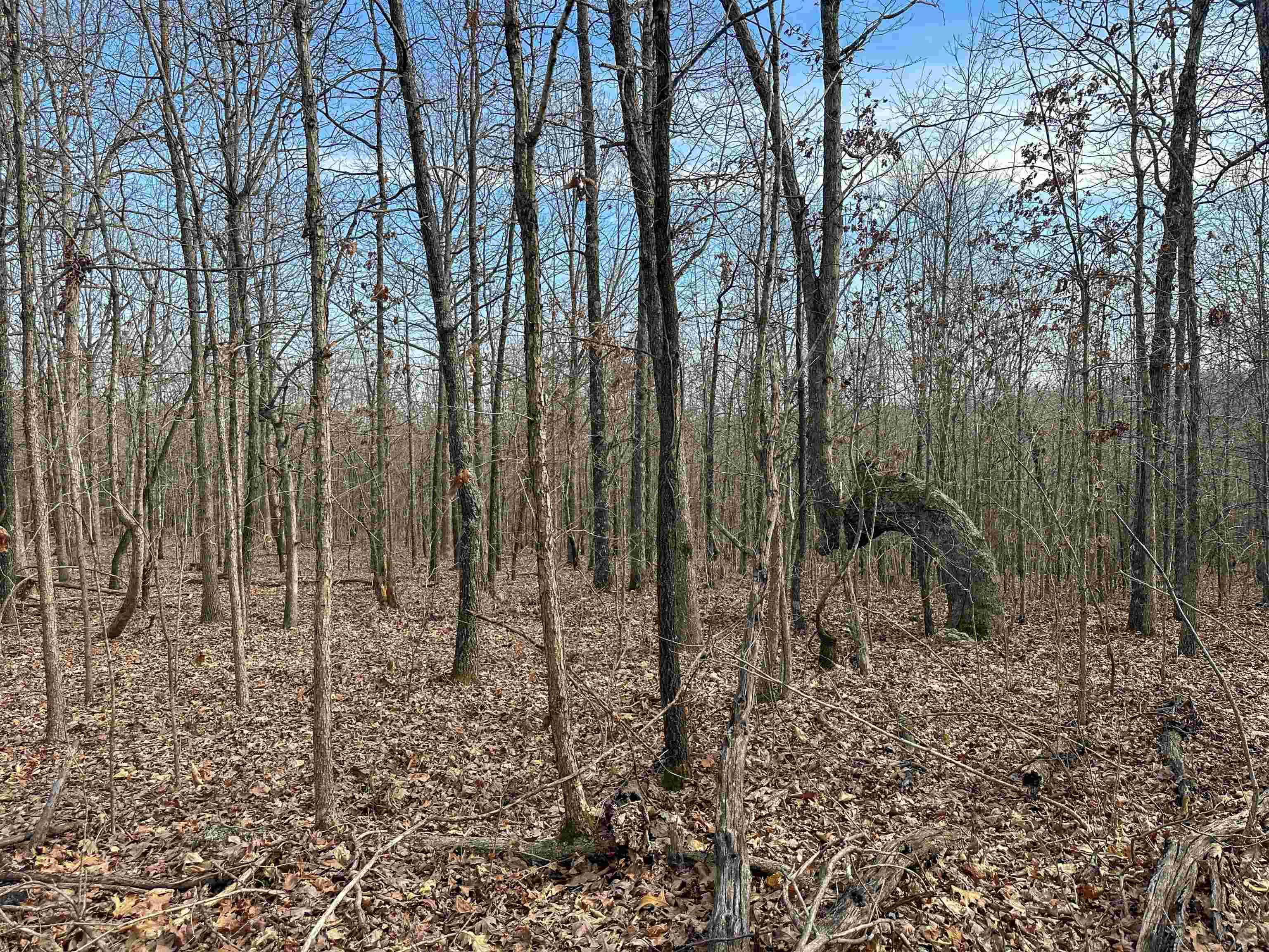 Metes & Bounds - Land