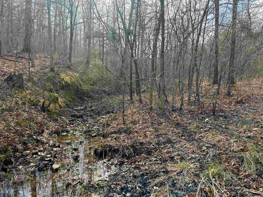 90-ACRE OZARK LEGACY TRACT: BUILD-READY & HUNTER-APPROVED!  Stop dreaming and start building on this exceptional 90-acre (m/l) Ozark sanctuary. Rarely do you find a tract of this size that offers the perfect trifecta of rugged recreational land, strategic hunting topography, and modern convenience. Unlike most remote acreage, this property features city water access at the road, saving you the massive expense of drilling a well.  For the serious hunter, the land is a masterpiece of natural design. A seasonal creek along the northern boundary provides a vital water source, while the gently rolling terrain creates high-traffic funnels and thick bedding areas for trophy deer and turkey. Navigation is a breeze thanks to a well-maintained private trail system running east to west through the heart of the property—perfect for ATVs, UTVs, and effortless access to your hunting stands. Whether you are looking to establish a secluded family compound, a premier hunting retreat, or a custom home with breathtaking views, the numerous level building sites provide the ideal canvas. This isn't just land; it’s a turn-key outdoor lifestyle. Hunt it, build on it... own your piece of the Ozarks today.