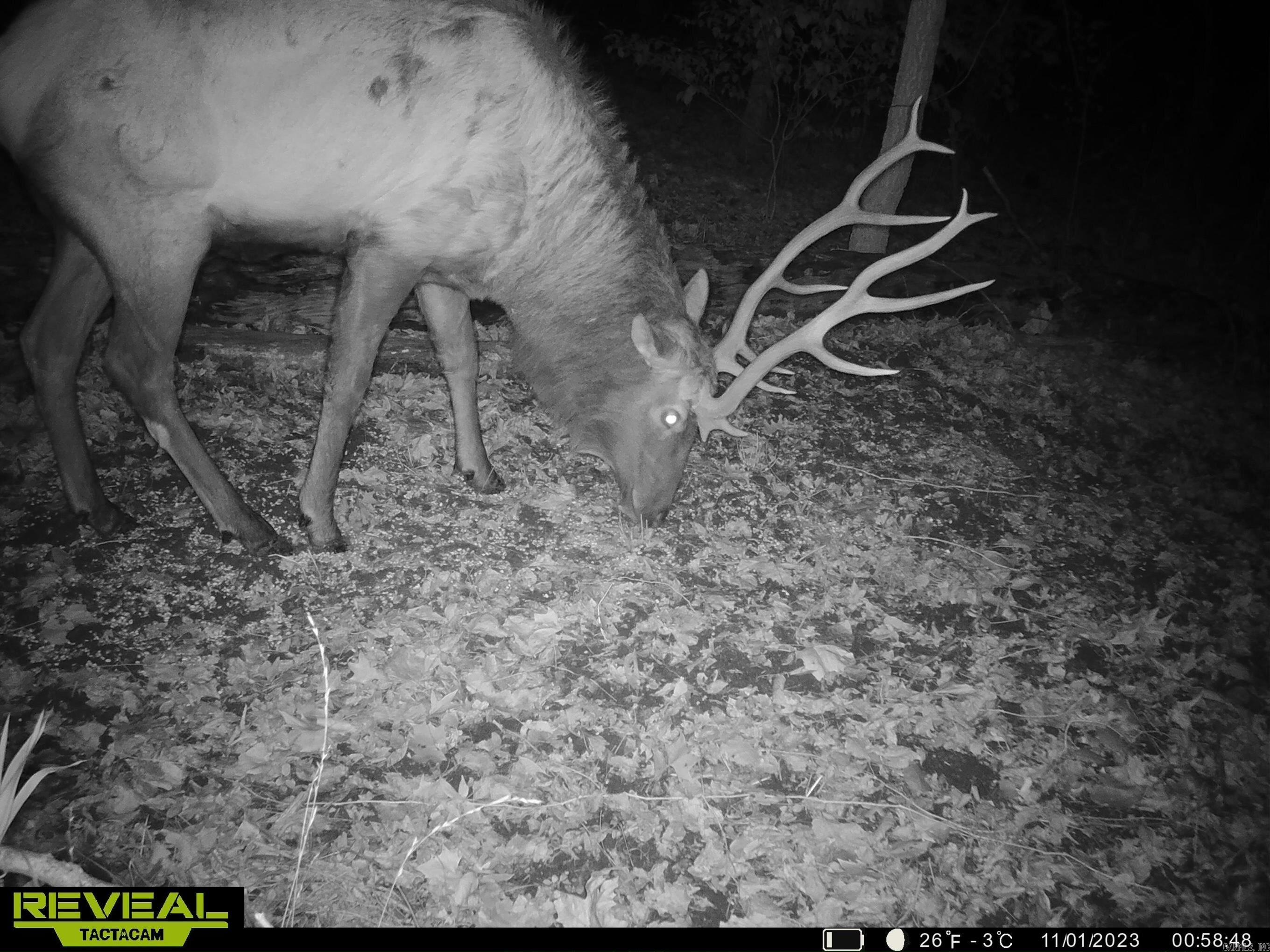 Metes & Bounds - Farm