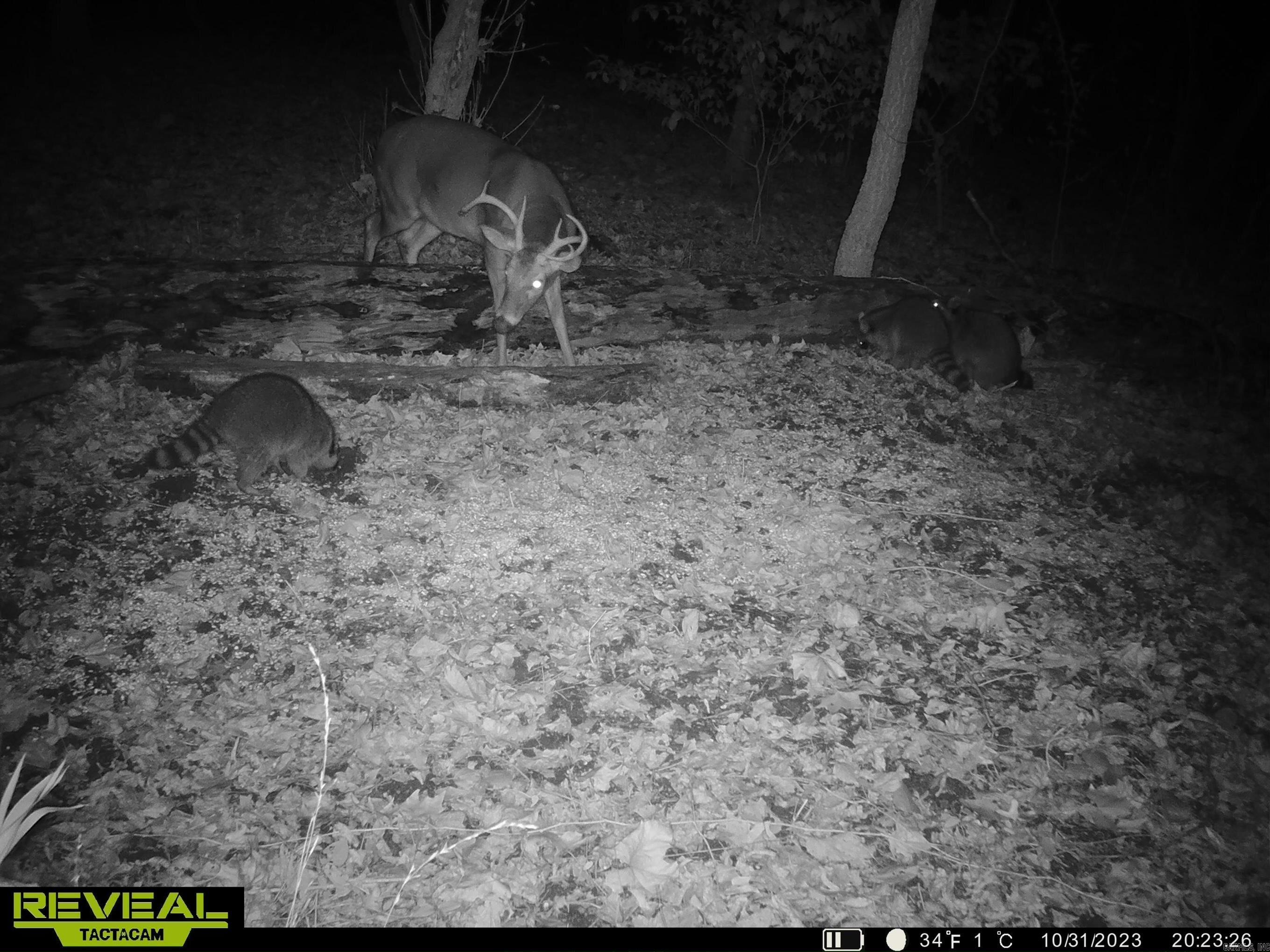 Metes & Bounds - Farm