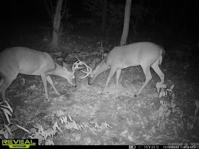 Metes & Bounds - Farm