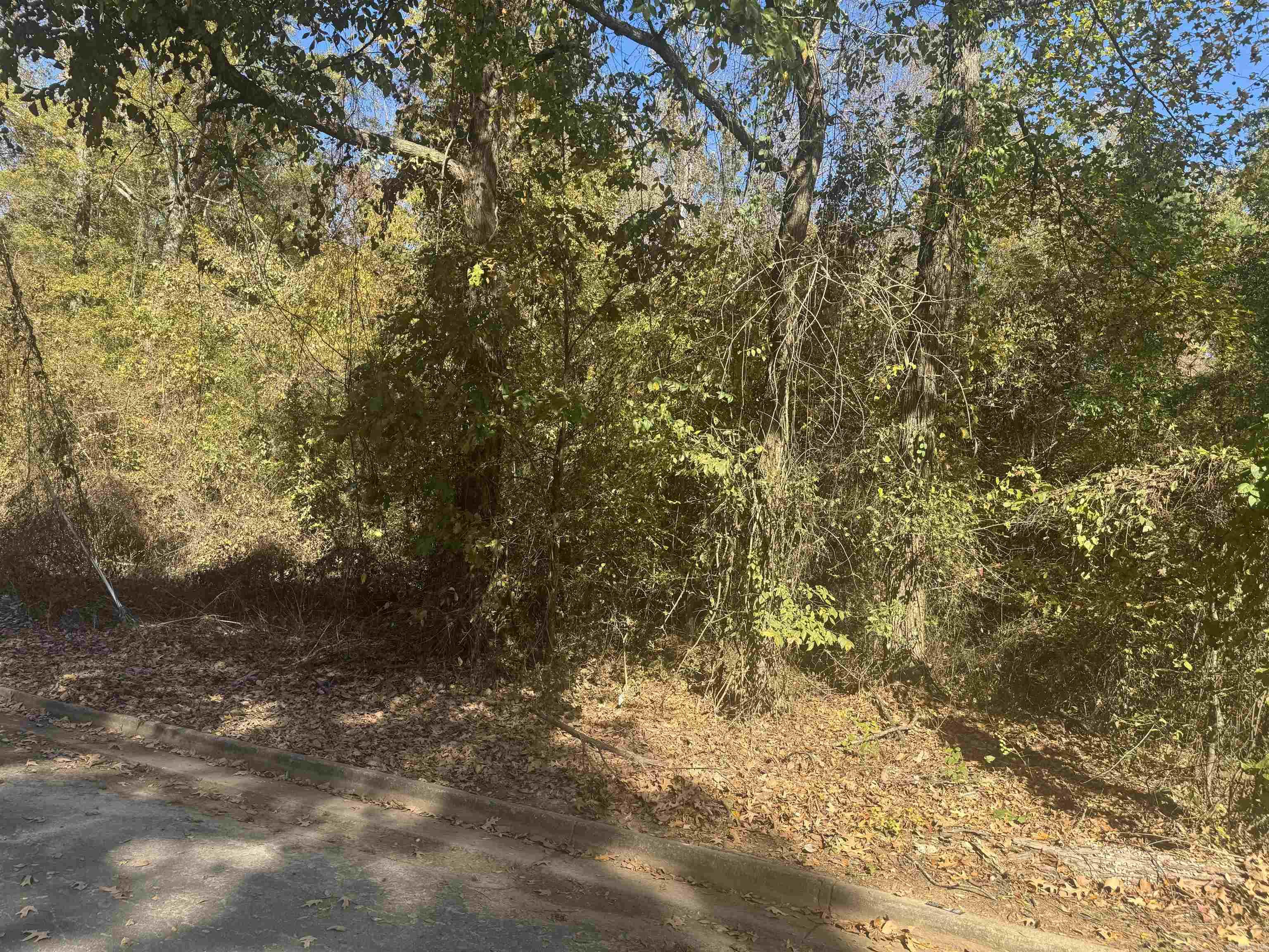 Windsor Place #2 - Land