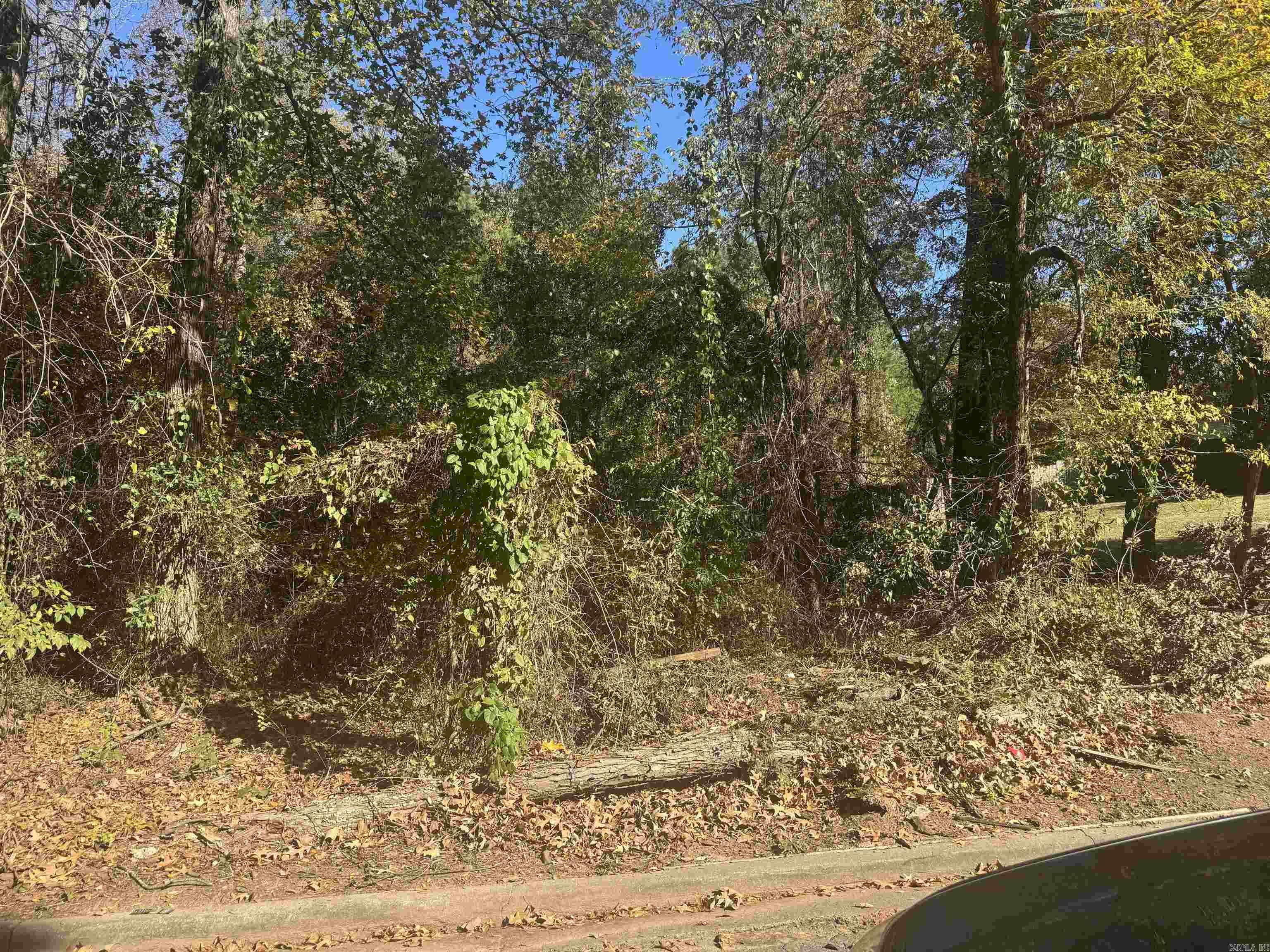 Windsor Place #2 - Land