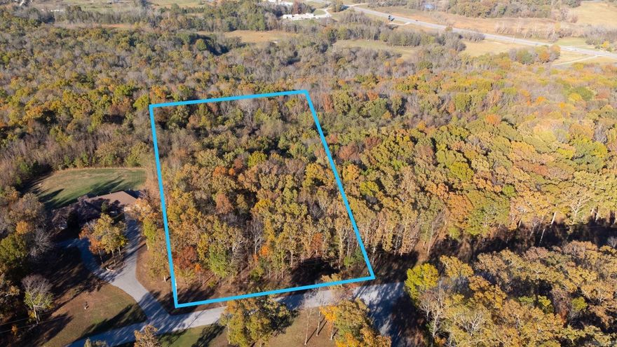 Build your dream home on this 2.97-acre lot in the scenic Vista Pointe subdivision, offering breathtaking mountain views. Less than 4 miles from Southside school, this serene location provides privacy and tranquility while remaining close to local amenities. Pictures of the neighboring homes are included for reference to envision your future build. Welcome home to your new beautiful plot of land. Stop by today & see all that this area has to offer.