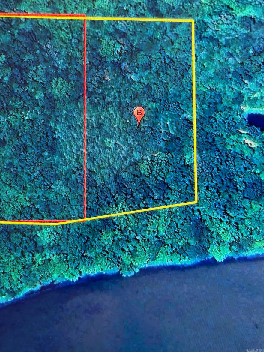 4.33 ACRES OF OPEN LAND WITH MIXED WOODS THAT JOINS THE CORP OF ENGINEERS PROPERTY ON THE SOUTHERN EDGE OF LAKE DARDANELLE/THE ARKANSAS RIVER. GROWN UP IN GRASS & WEEDS BUT WAS CLEARED LAST YEAR. JOINS 100+ ACRES OF CORP OF ENGINEERS LAND/SANDBAR JUST SOUTH OF THIS PROPERTY. GREAT HUNTING AREA WITH DUCKS, DEER, & SMALL GAME GALORE. CLOSE TO WALMART DC #6082, 1ST CHANCE-LAST CHANCE BEER & WINE AT MORRISON'S BLUFF, I-40, & DOWNTOWN CLARKSVILLE. ELECTRICITY ONSITE, SPADRA RURAL WATER AT GATE. WINTERTIME VIEW OF THE RIVER-LAKE.