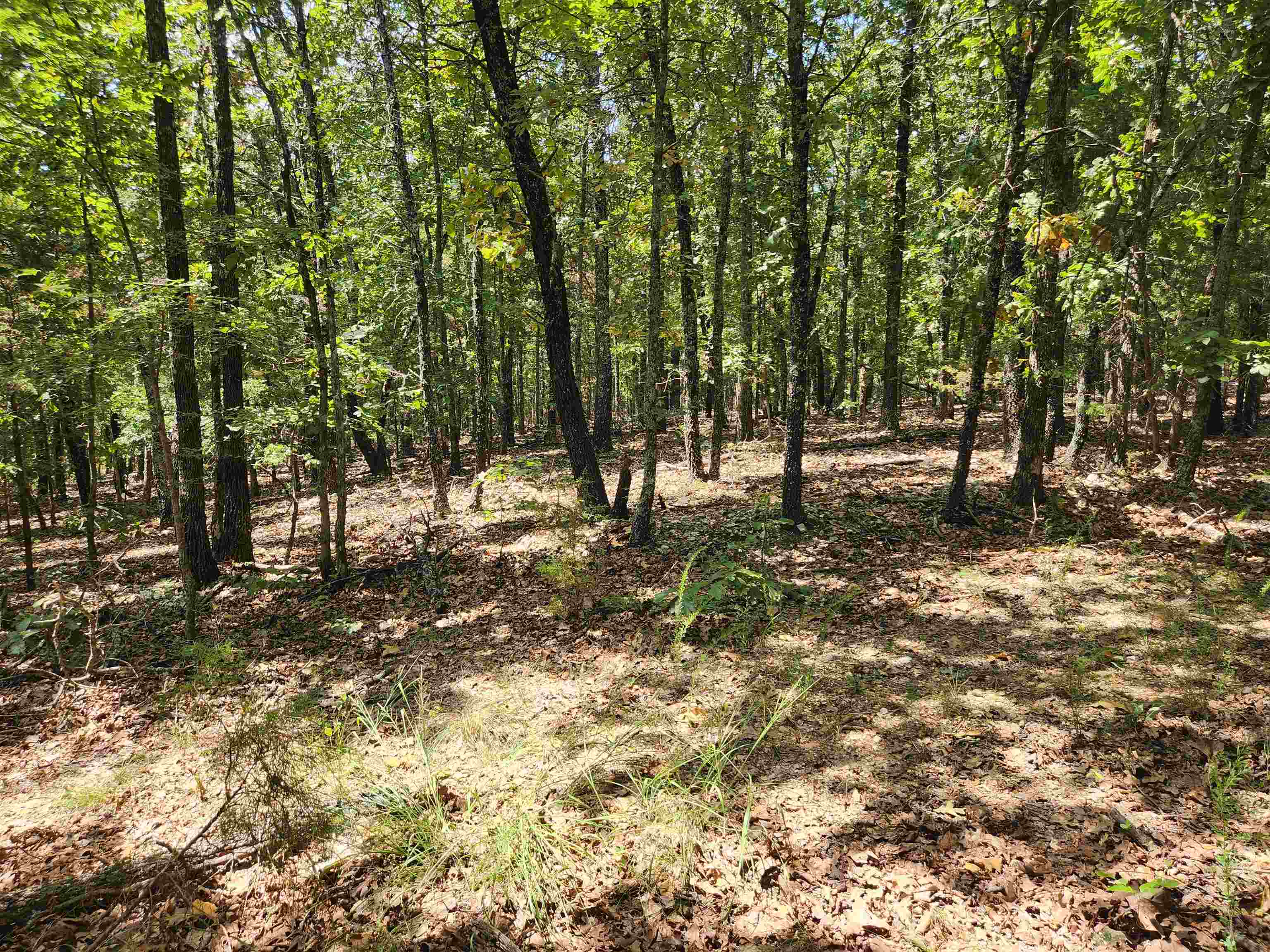 3 secluded and unrestricted lots side by side. These lots are in Cherokee Village 13th addition, the gift lot addition. These 3 lots together equal enough property to be able to build a suitable home with septic system. You could camp out on this property because it is not under Cherokee Village restrictions and that means no SID fees either. Getting to the property could be tricky since there are no maintained roads to it. An ATV, UTV or at least a 4WD vehicle would be best suited to get to the property. the lots are mostly level with maybe a slight slope. But man what a great piece of property to camp on or if your a hunter???? This property should fall under the city of Highland as far as any rules go. All buyers are encouraged to do their due dilligence when purchasing properties in the CV-13th addition.