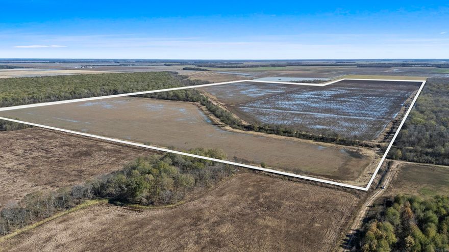 Exceptional 280-acre farm located 5 miles south of England city limits offers a rare opportunity to own cropland in a prime agricultural and recreational area. With approximately 230 acres in cultivation, the farm features a rice-and-soybean rotation and a dependable local tenant already in place. The northwest section includes 22 acres of beautiful timber that follows Indian Bayou as it winds north to south, naturally dividing the property into eastern and western fields. The tract is fully irrigated with two 50 HP, 8" vertical hollow shaft wells and 6,000 feet of underground pipe, ensuring reliable, efficient water delivery. Beyond its agricultural strengths, this property sits in an area known for its world-renowned waterfowl activity. Indian Bayou and neighboring Dudley Lake enhance the wildlife habitat offering outstanding duck hunting potential that's highly sought after by hunting enthusiasts.  Whether you are looking for a strong investment farm or a dual-purpose tract with excellent hunting opportunities, this property checks all the boxes.