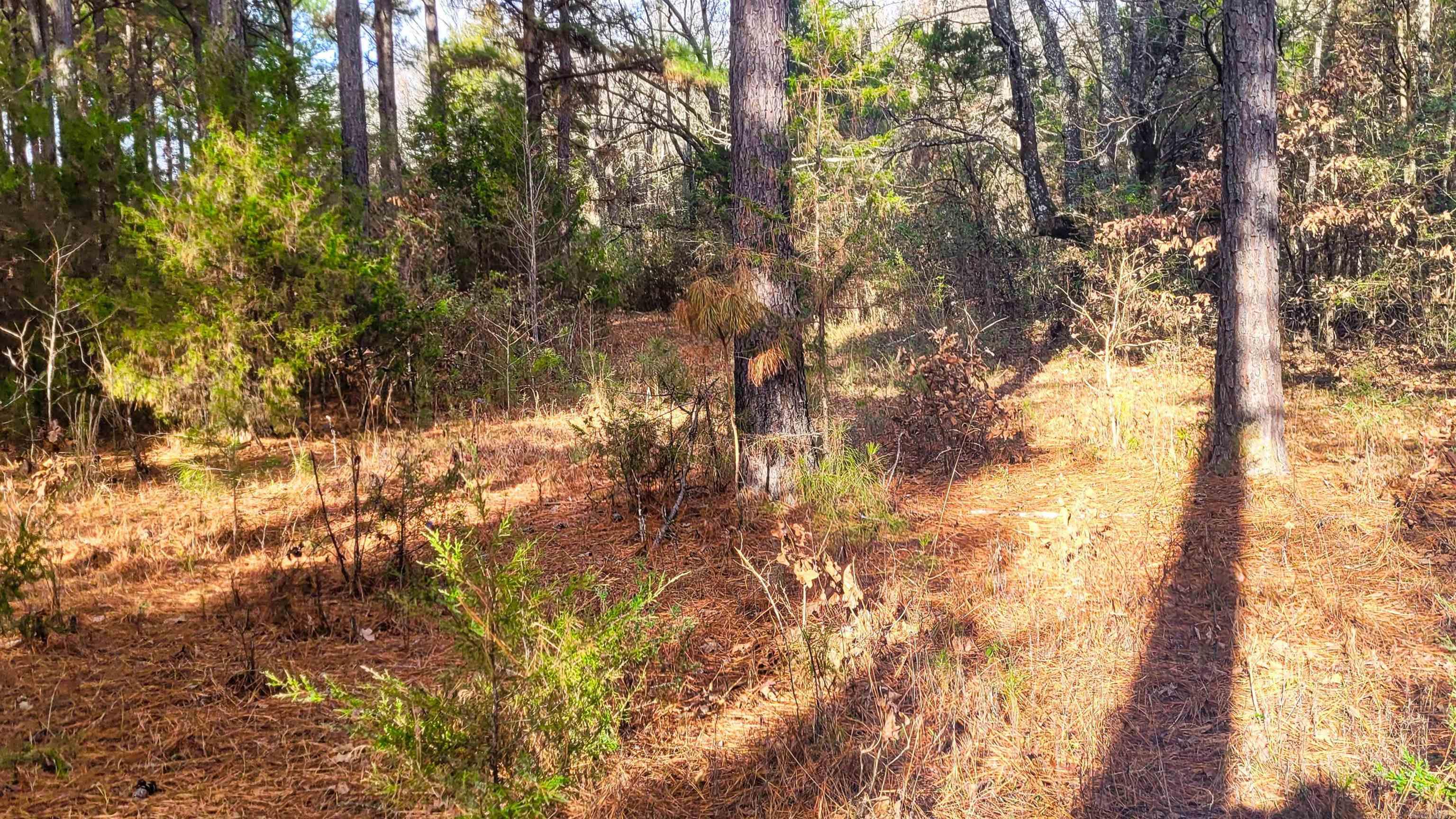 Not in Subdivision - Land