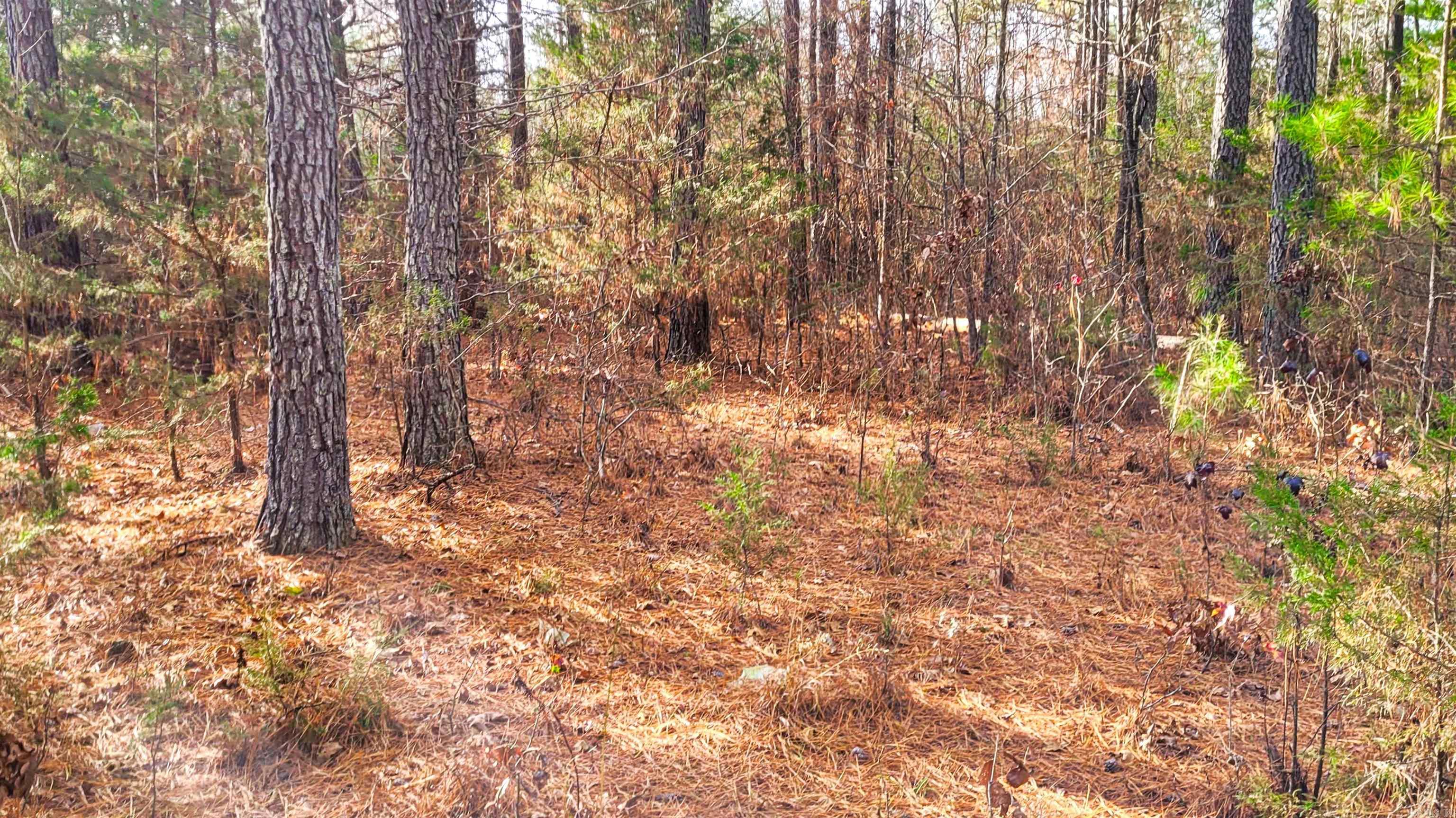 Not in Subdivision - Land