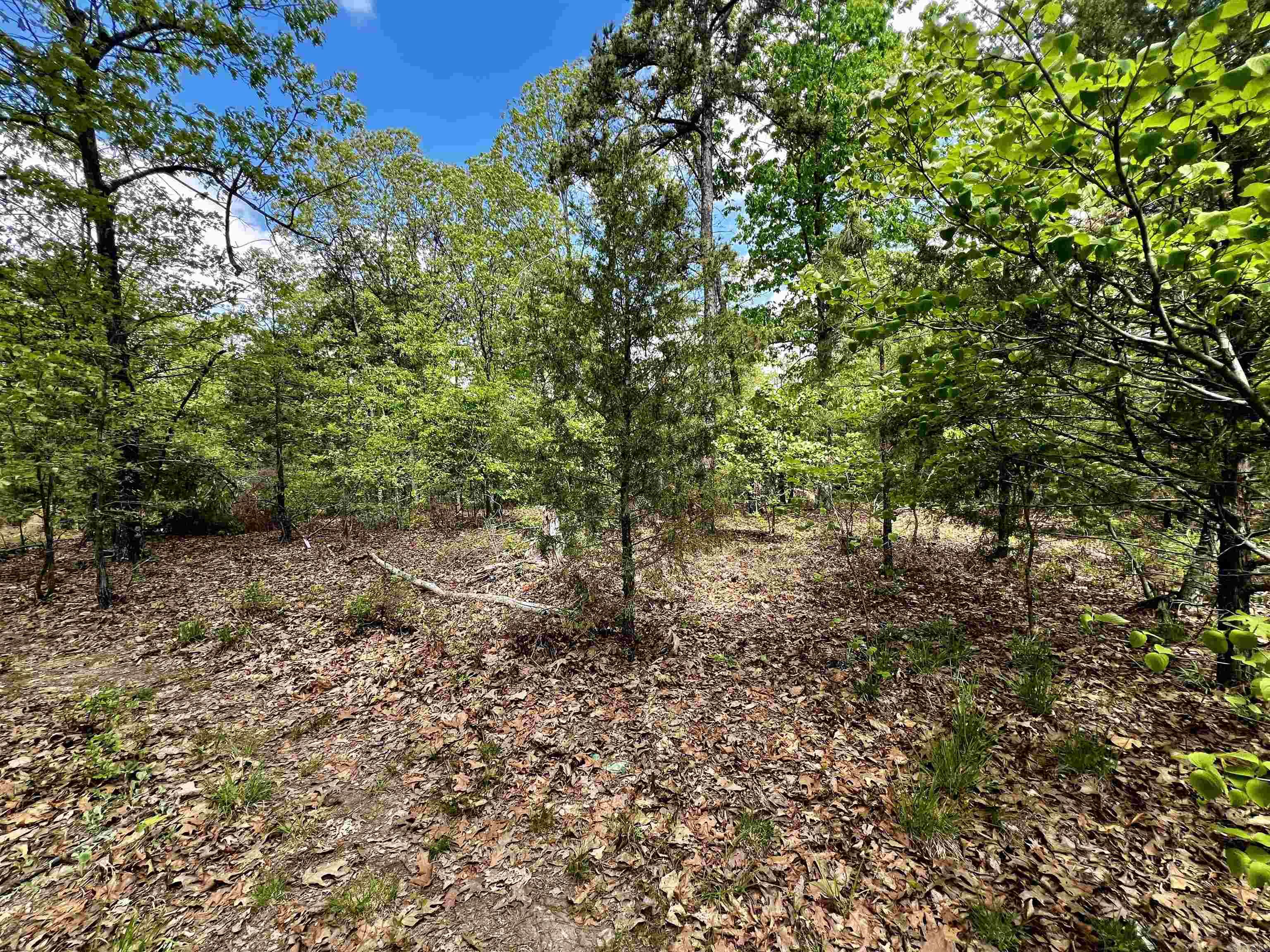 Not in Subdivision - Land