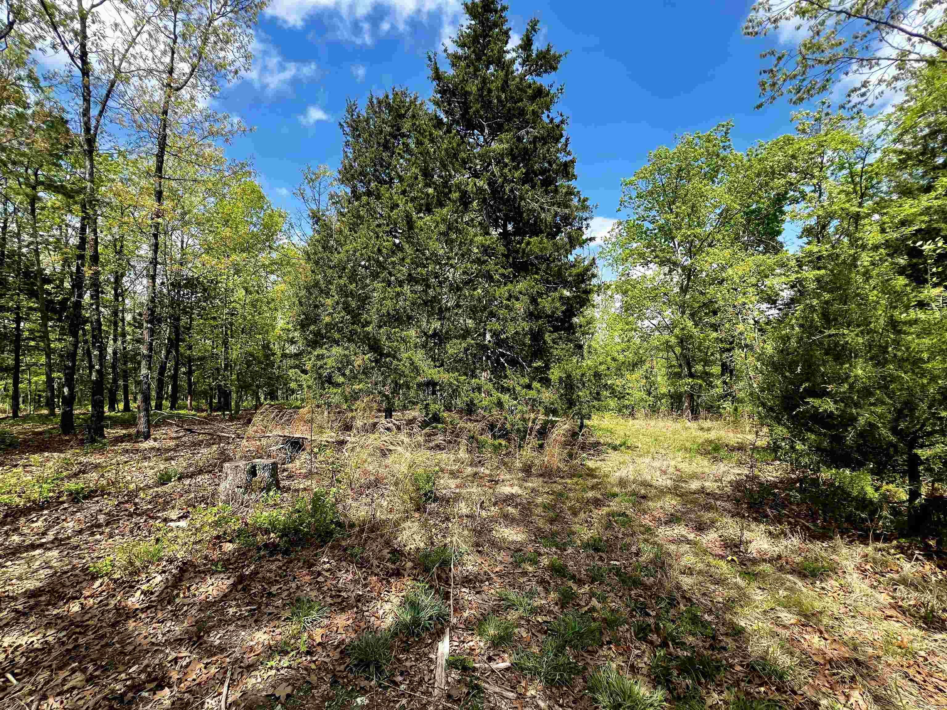 Not in Subdivision - Land