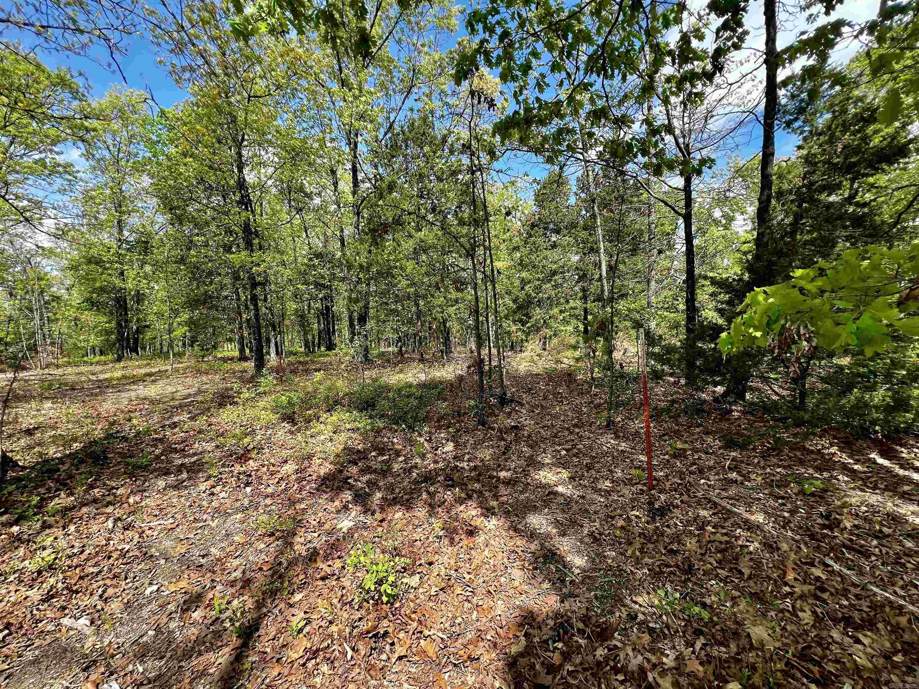 Not in Subdivision - Land