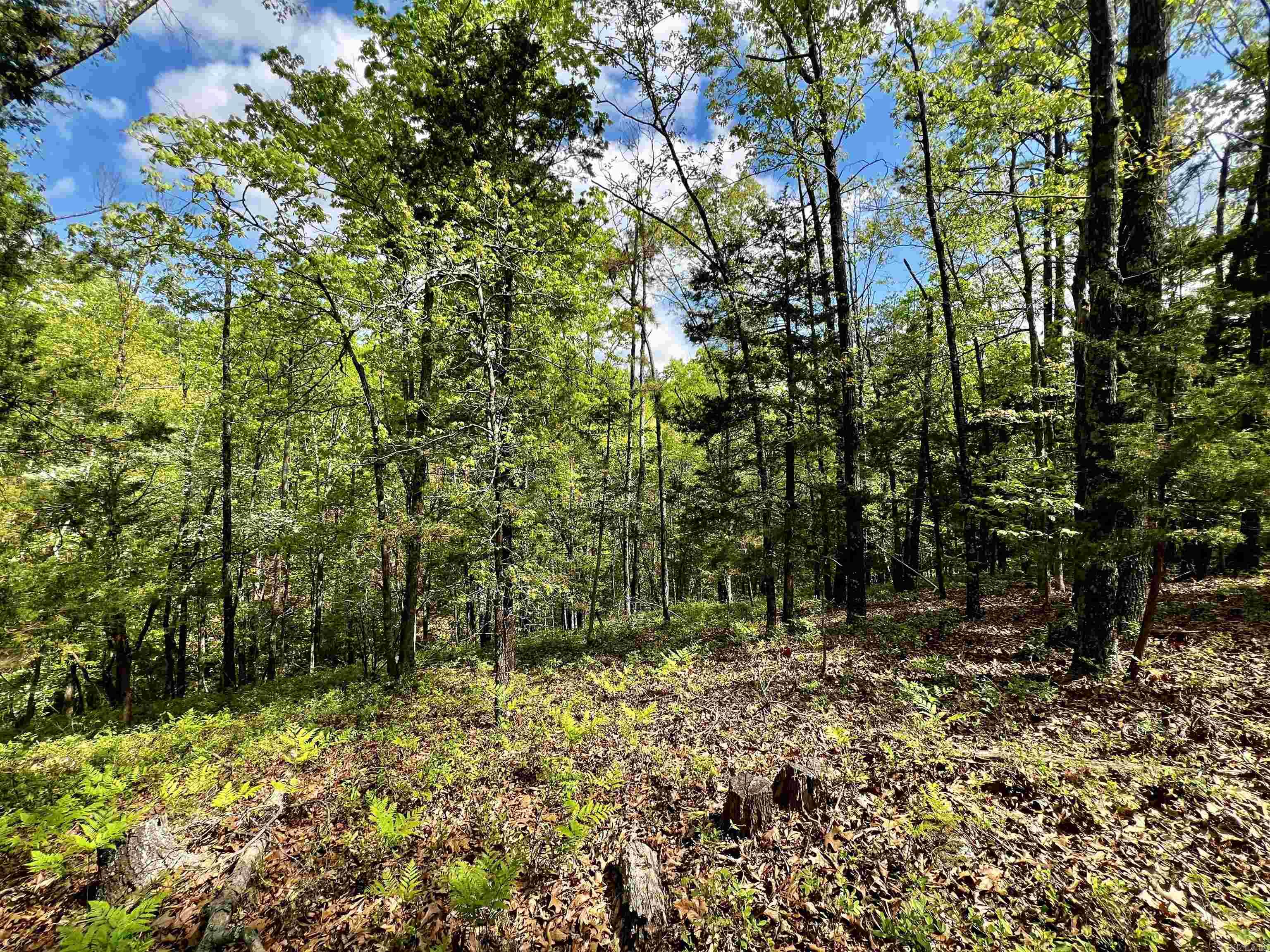 Not in Subdivision - Land