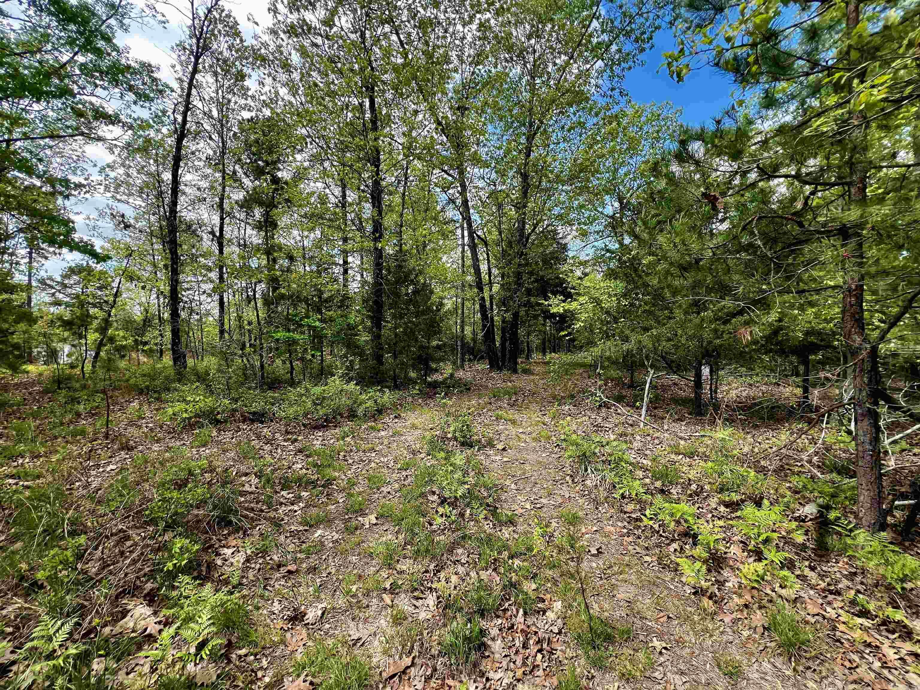 Not in Subdivision - Land