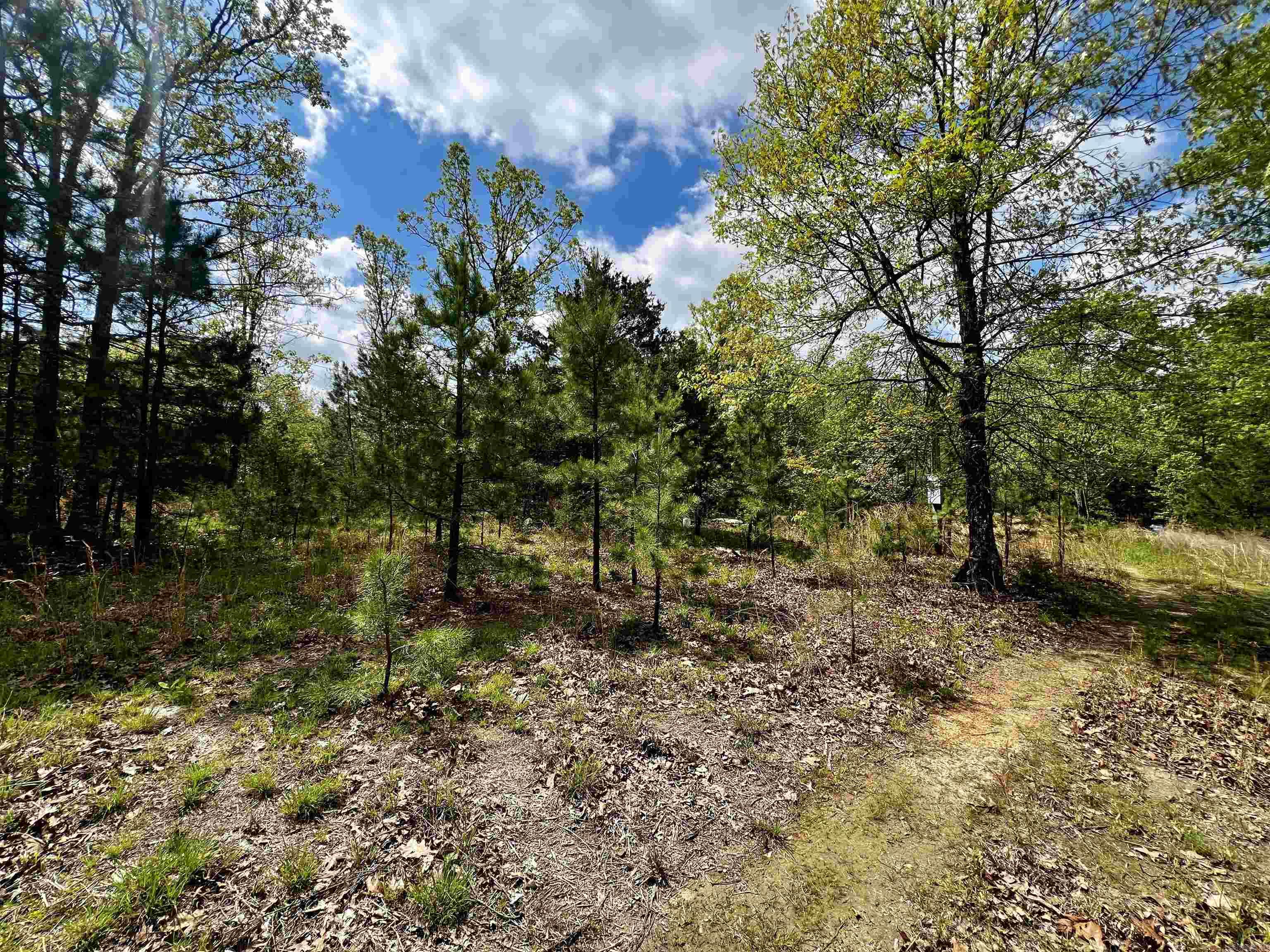 Not in Subdivision - Land