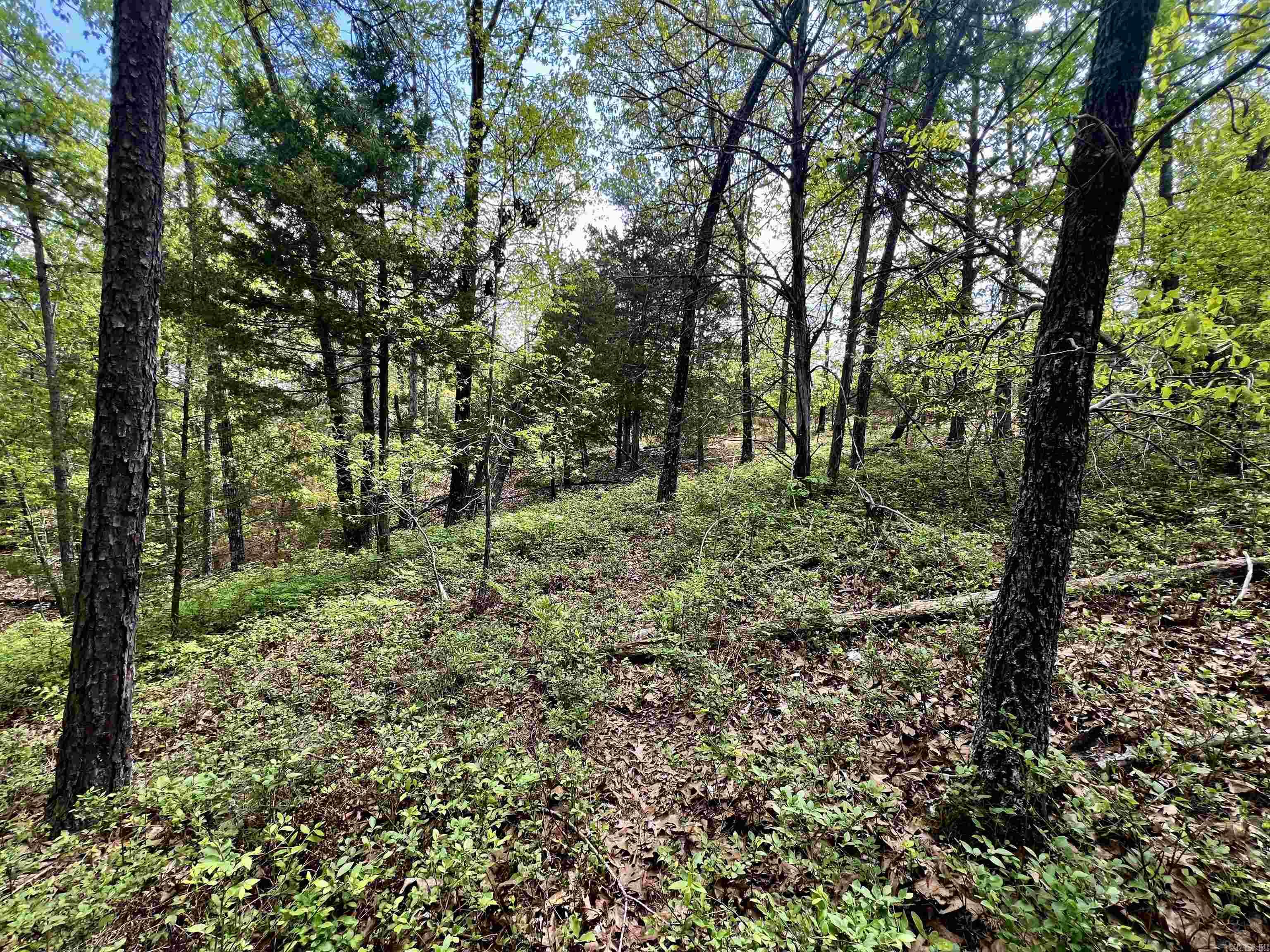 Not in Subdivision - Land