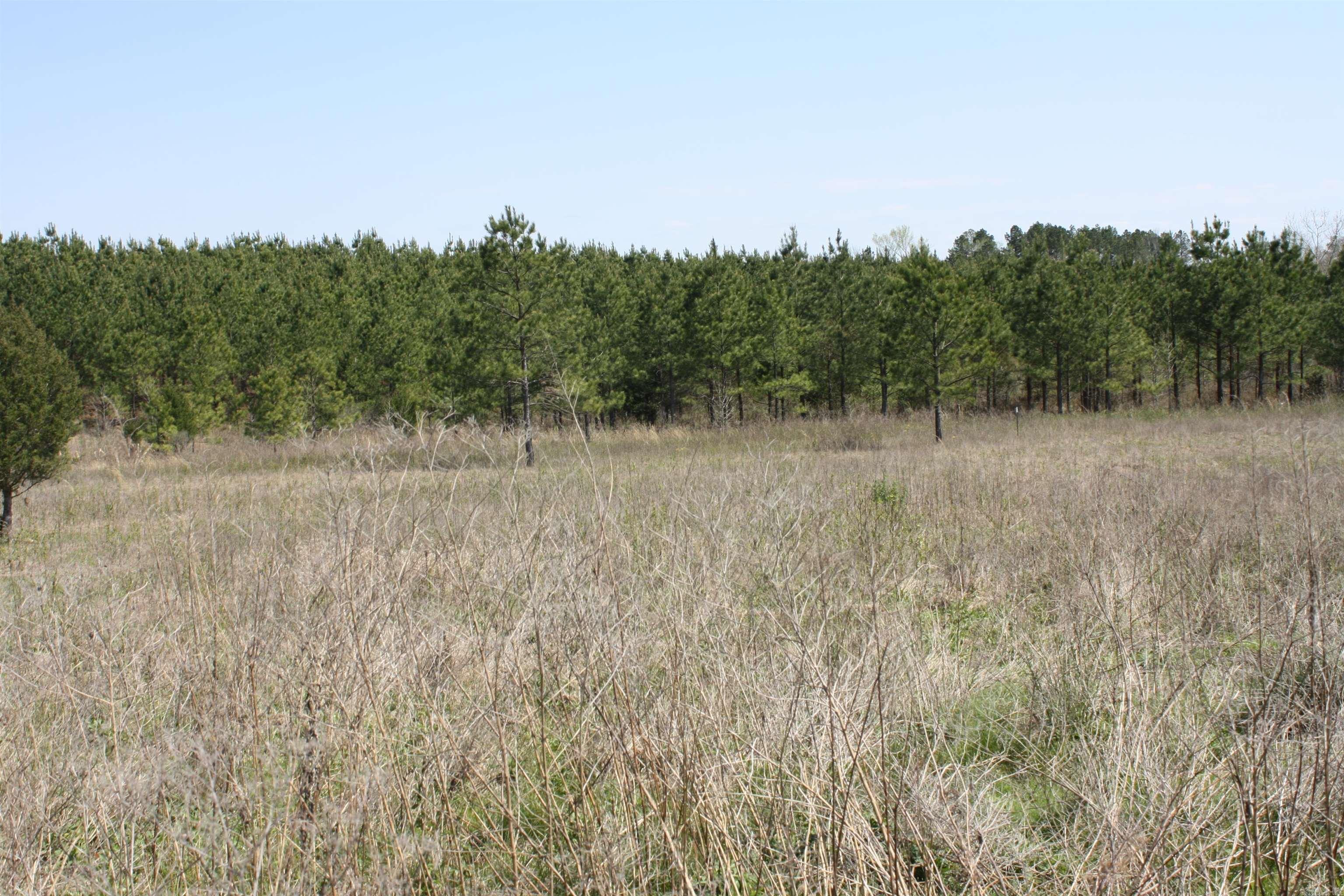TIMBER WOOD SUB - Residential