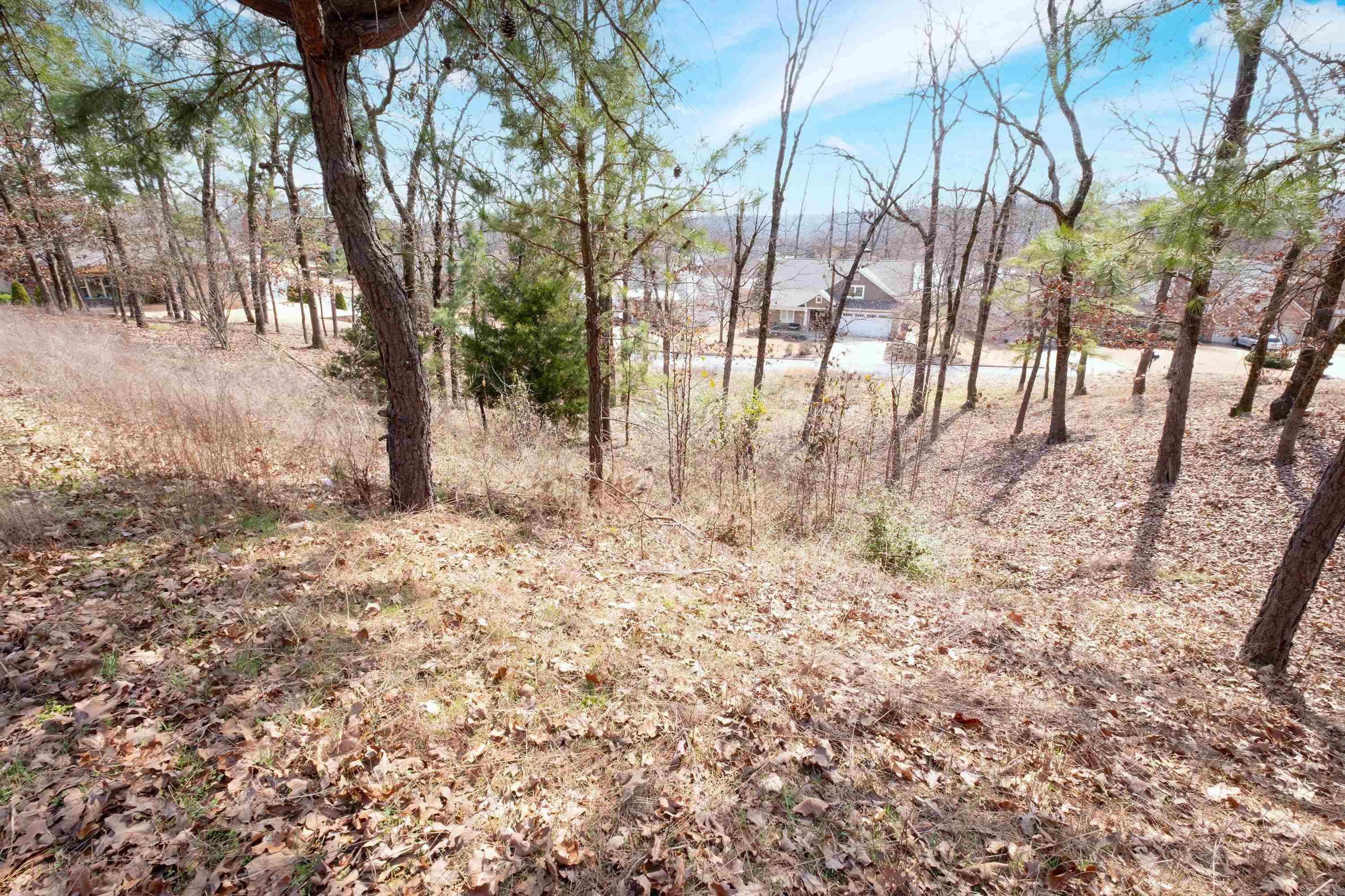 Turtle Creek Cove - Land