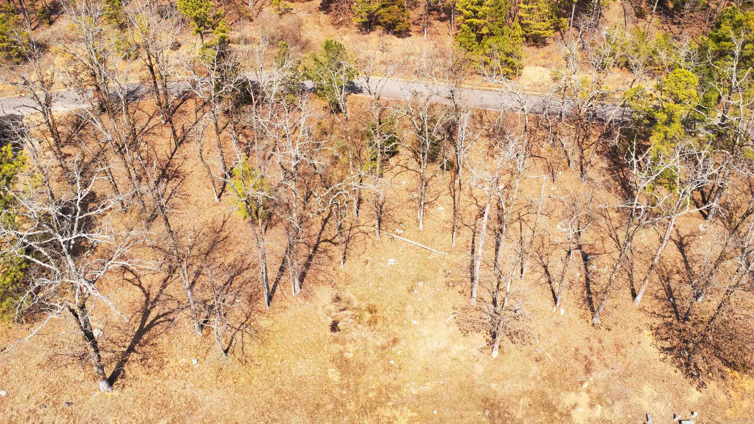 Turtle Creek Cove - Land