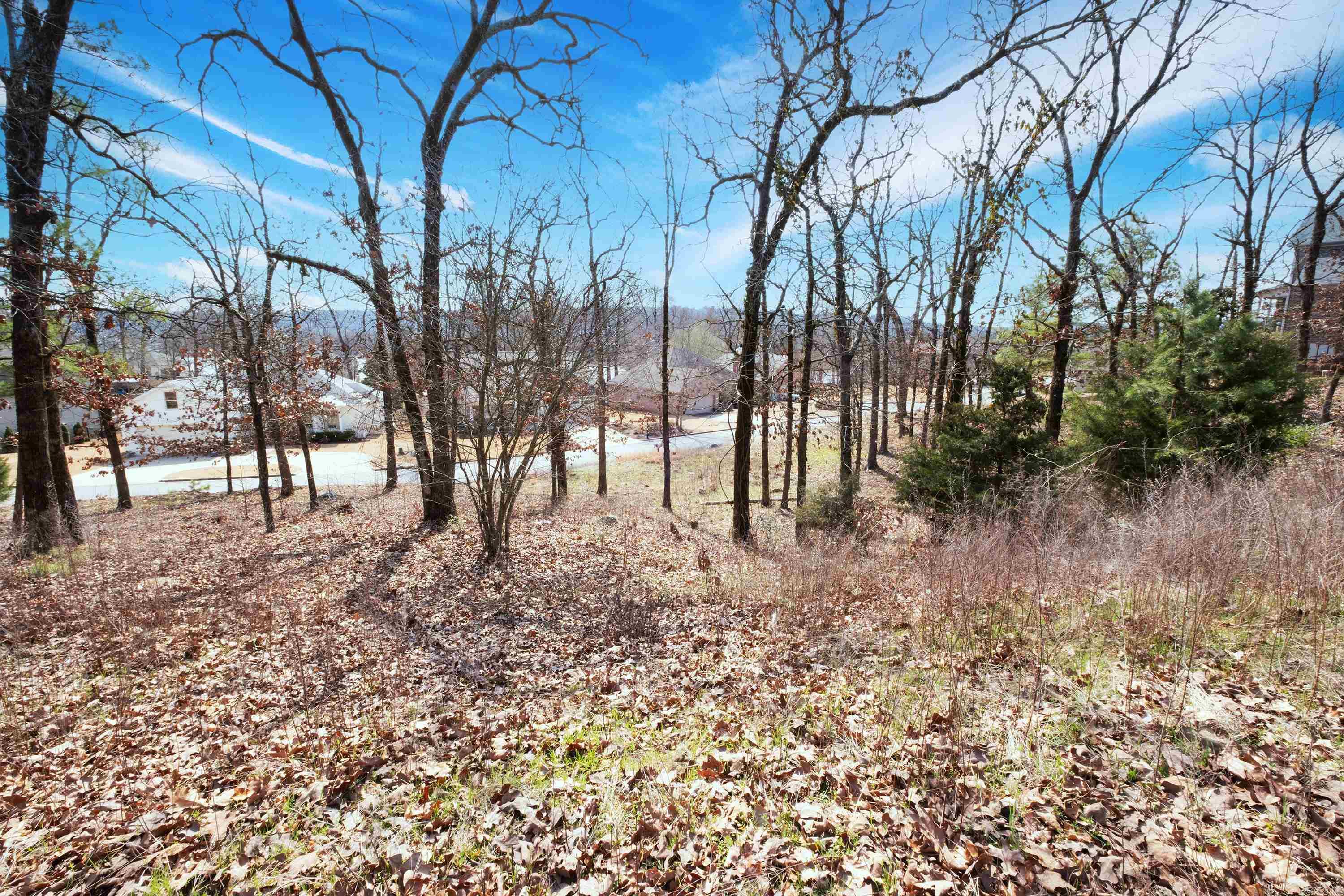 Turtle Creek Cove - Land