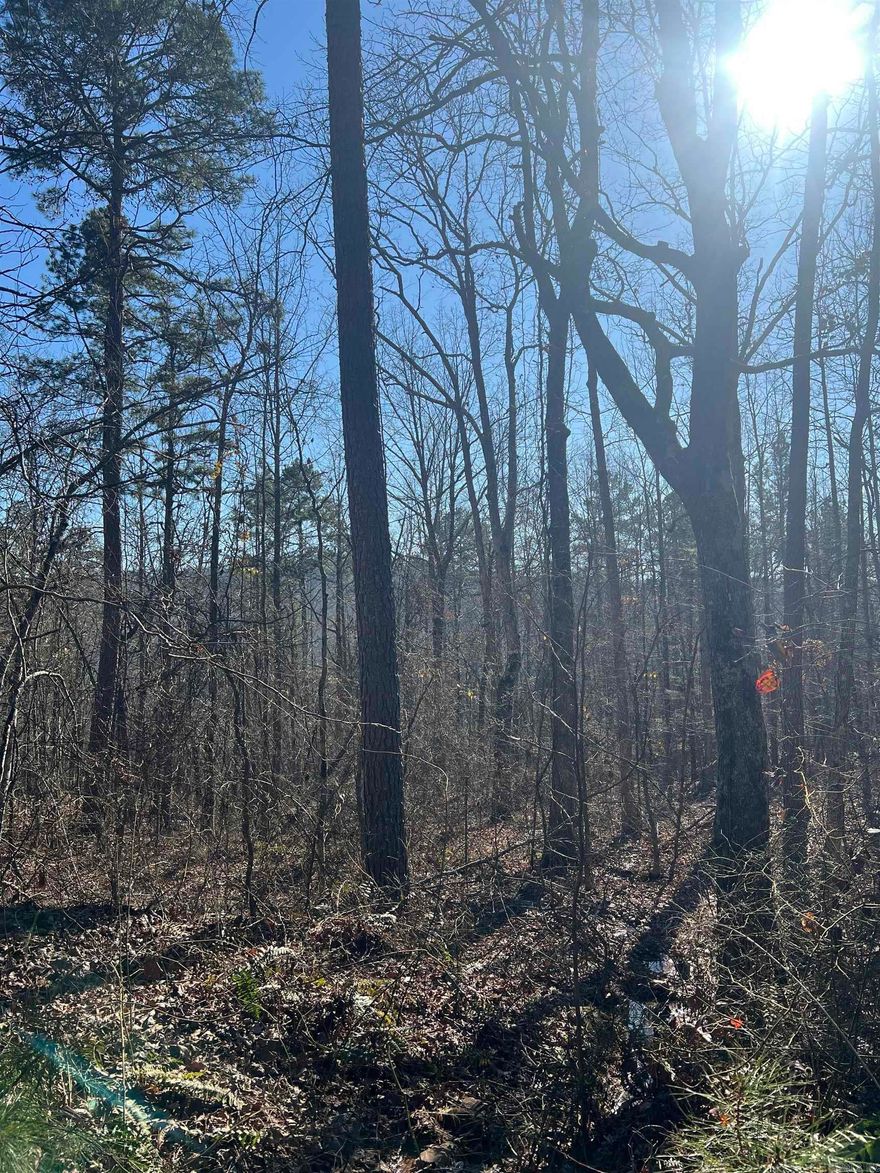 Great secluded hunting land.  Wooded with a creek and large rock formations.  This area is known for large deer, bear and turkey.