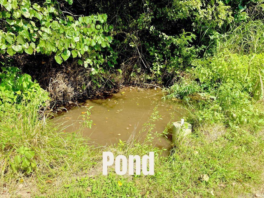 REA VALLEY ACRES - Residential