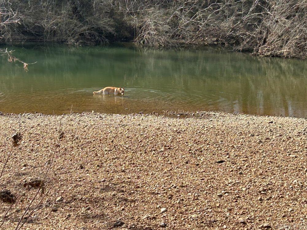 REA VALLEY ACRES - Residential