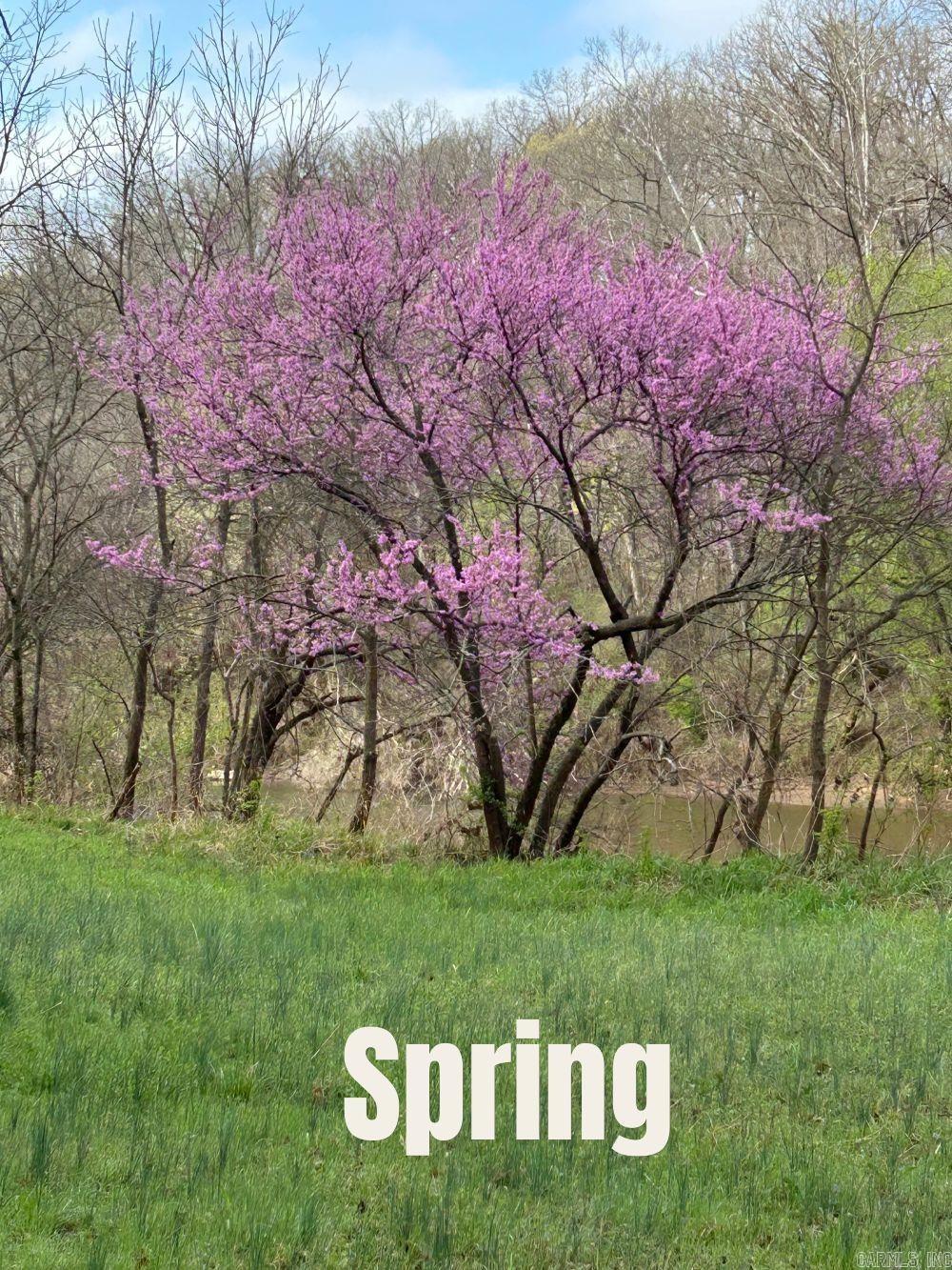 REA VALLEY ACRES - Residential