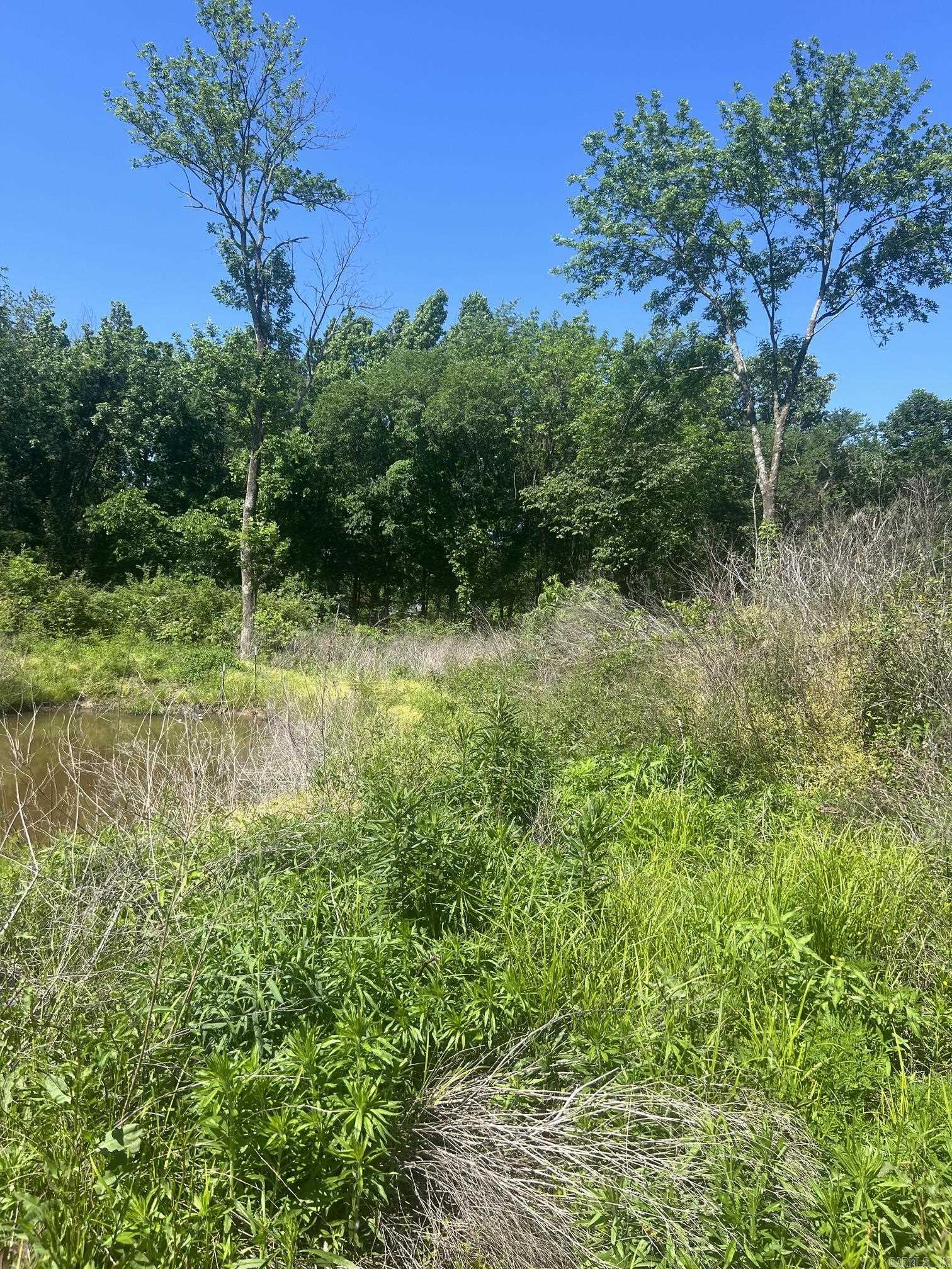 Caney Meadows - Land