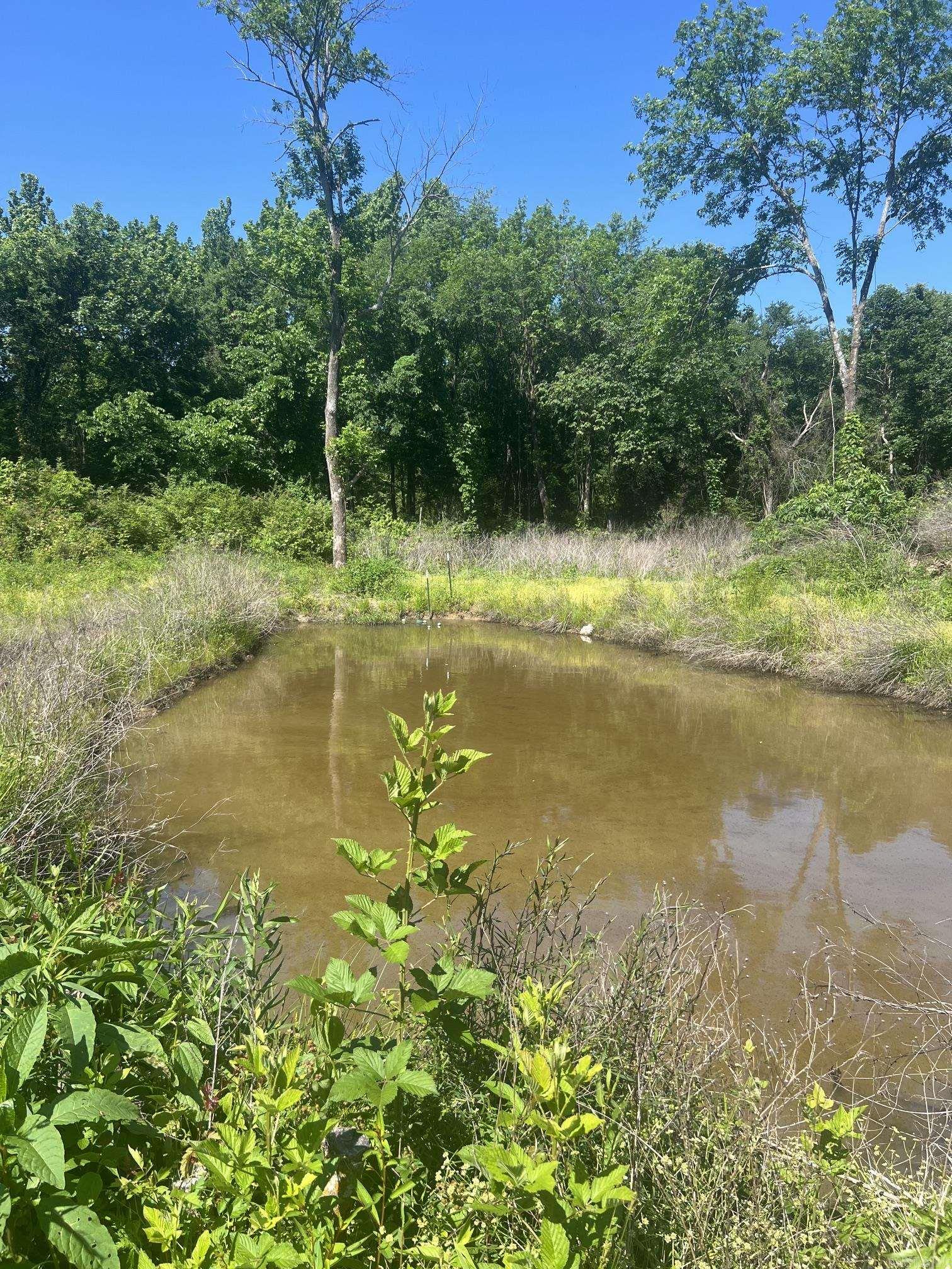 Caney Meadows - Land