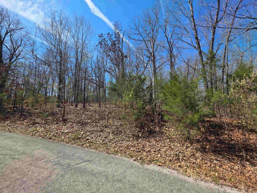 Nice hillside lot with a front to back upward slope and a left to right downward slope.  Lots of trees and lots of nature and wildlife Wet weather creek on the north side of the lot. Come check this lot out, check out the view and see where you want to put your vacation home or your forever home. Retire here and fish 7 different lakes and golf 2 different 18-hole golf courses. Don't forget about the beautiful South Fork River that flows right through the Village. Shop in Old Hardy town and trout fish the Spring River. That's living the Cherokee Village lifestyle.