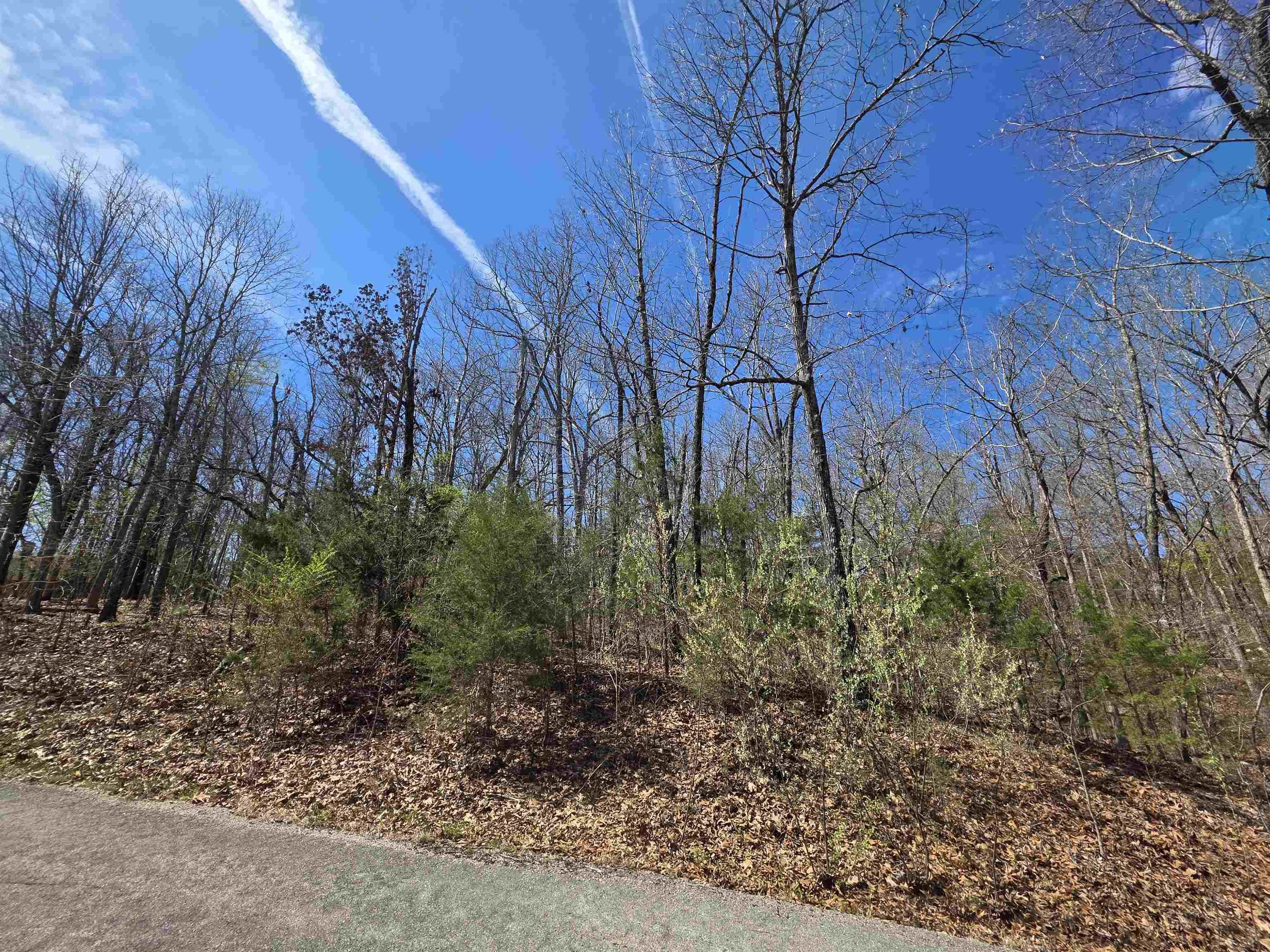 Seminole Second - Land