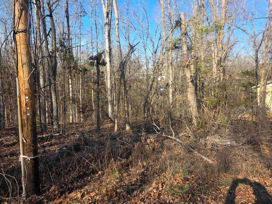 Wonderful and wooded lot in the heart of Cherokee Village. Secluded and away from it all. But close to a main road for quick visits to the town center or exits from the Village for shopping, dining and entertainment. Buy this lot and pick your spot to build your dream home or just a getaway cabin. With ownership of this lot, you will have access to all the amenities of Cherokee Village such as the 7 lakes and Two 18-hole golf courses as well as the Thunderbird Center and swimming pool, mini golf, parks, hiking trails and don't forget about the beautiful Southfork River for fishing, kayaking or just floating down to wet your toes. This is a wonderful lot to purchase and plan for your future home. Call to purchase this one today.