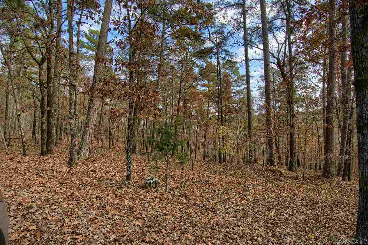 Really nice lot at the end of the cul-de-sac with a large lot at the back, slight slope and adjacent to common land and stream. Beautiful and private. Nice neighborhood. A couple of blocks from Lake Pineda.