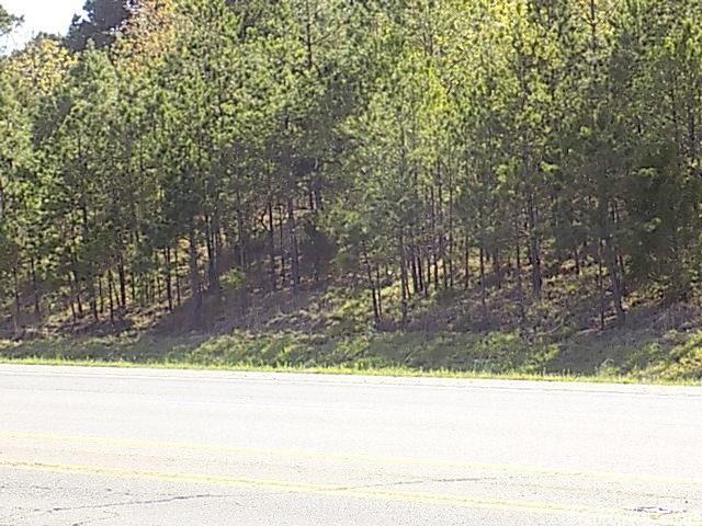On HWY 65 in Greenbrier Arkansas.This property has potential for commercial development. Outside the city limits on the way to Branson with a high traffic count. Business owners this is where you want to be. City water ,natural gas available.