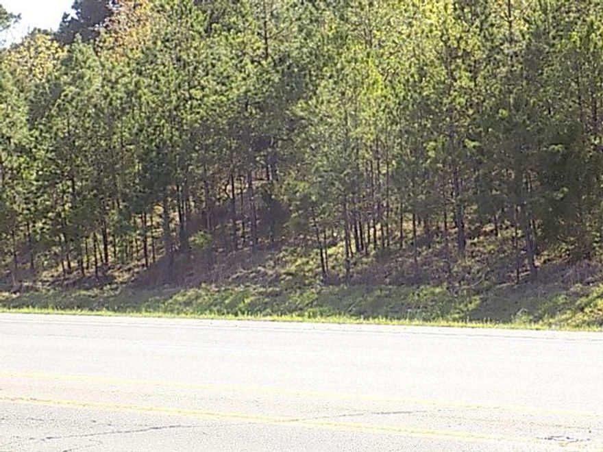 On HWY 65 in Greenbrier Arkansas.This property has potential for commercial development. Outside the city limits on the way to Branson with a high traffic count. Business owners this is where you want to be.  City water ,natural gas available.