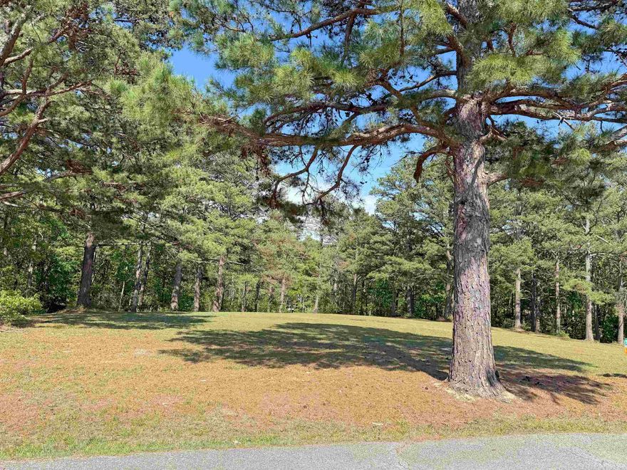 Build your dream home on this beautiful 2.18-acre lot located in one of Mountain View’s newer golf course subdivisions—inside city limits. Flat land, surrounded by attractive, well-kept homes, this property offers a peaceful setting with plenty of space for a custom build. Just minutes from downtown, the golf course, and local attractions, this is a great opportunity in a sought-after area.