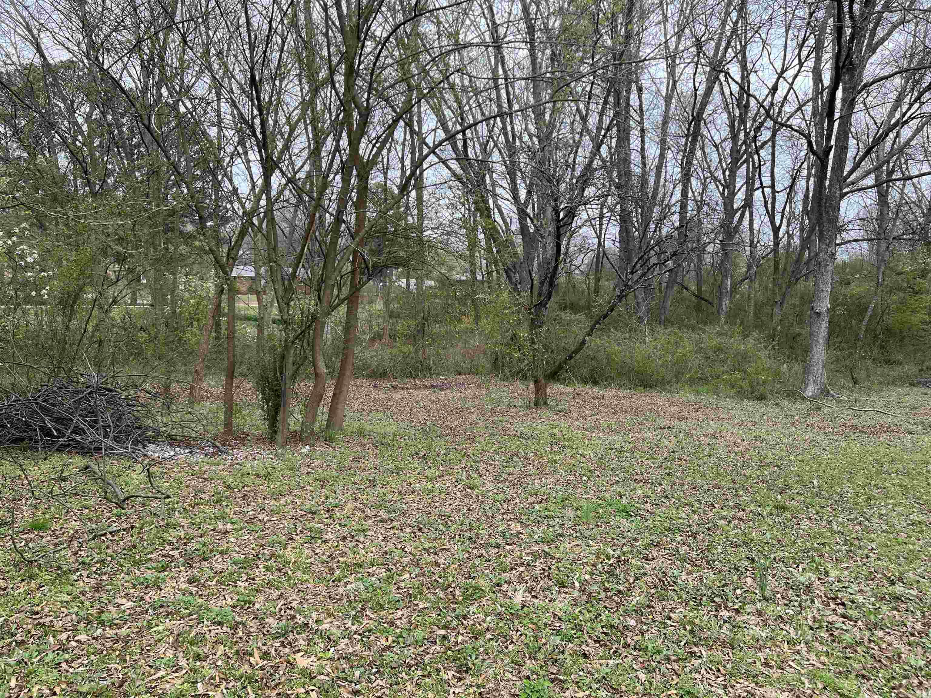 Searcy Outlots - Residential