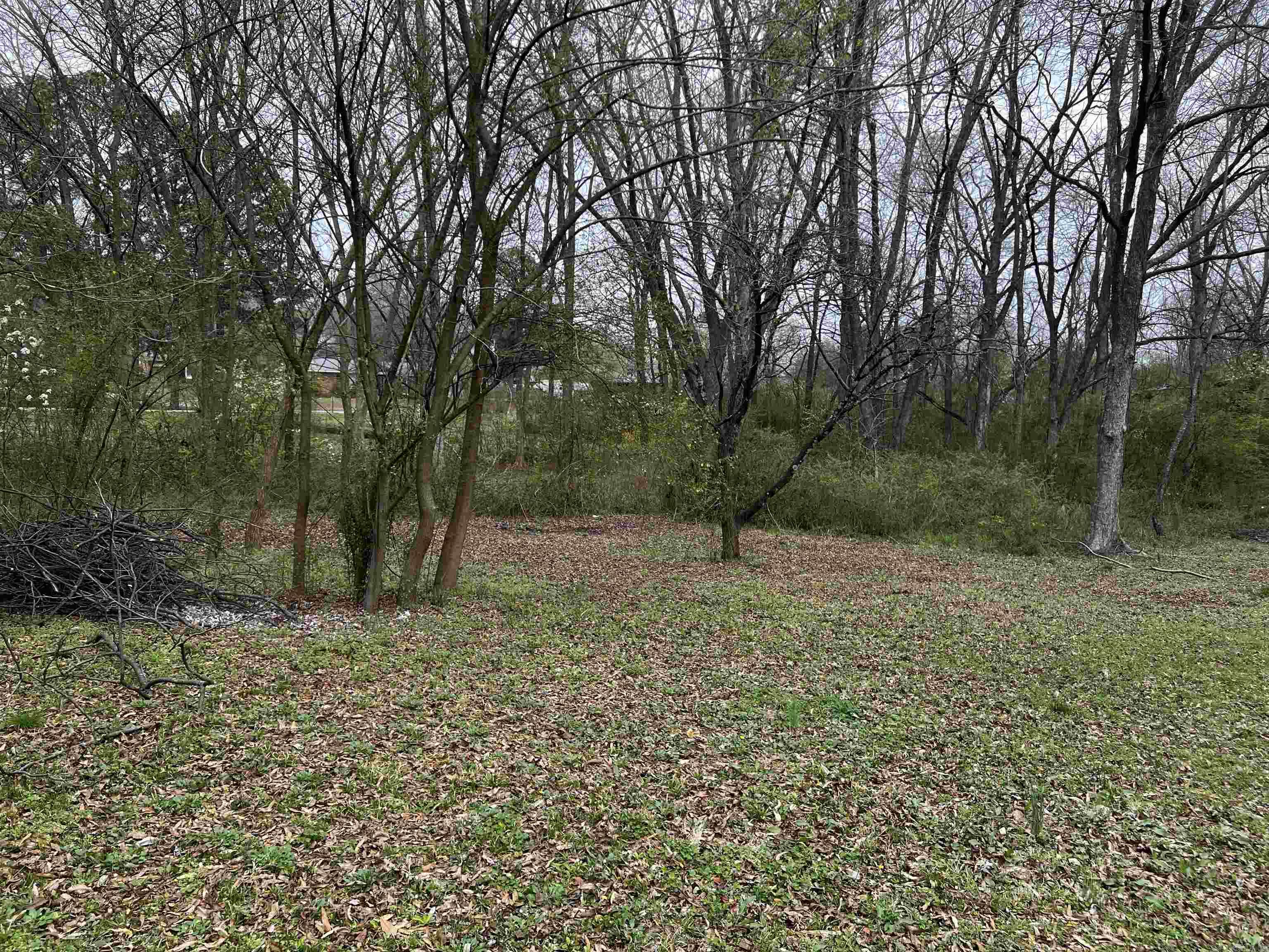 Searcy Outlots - Residential