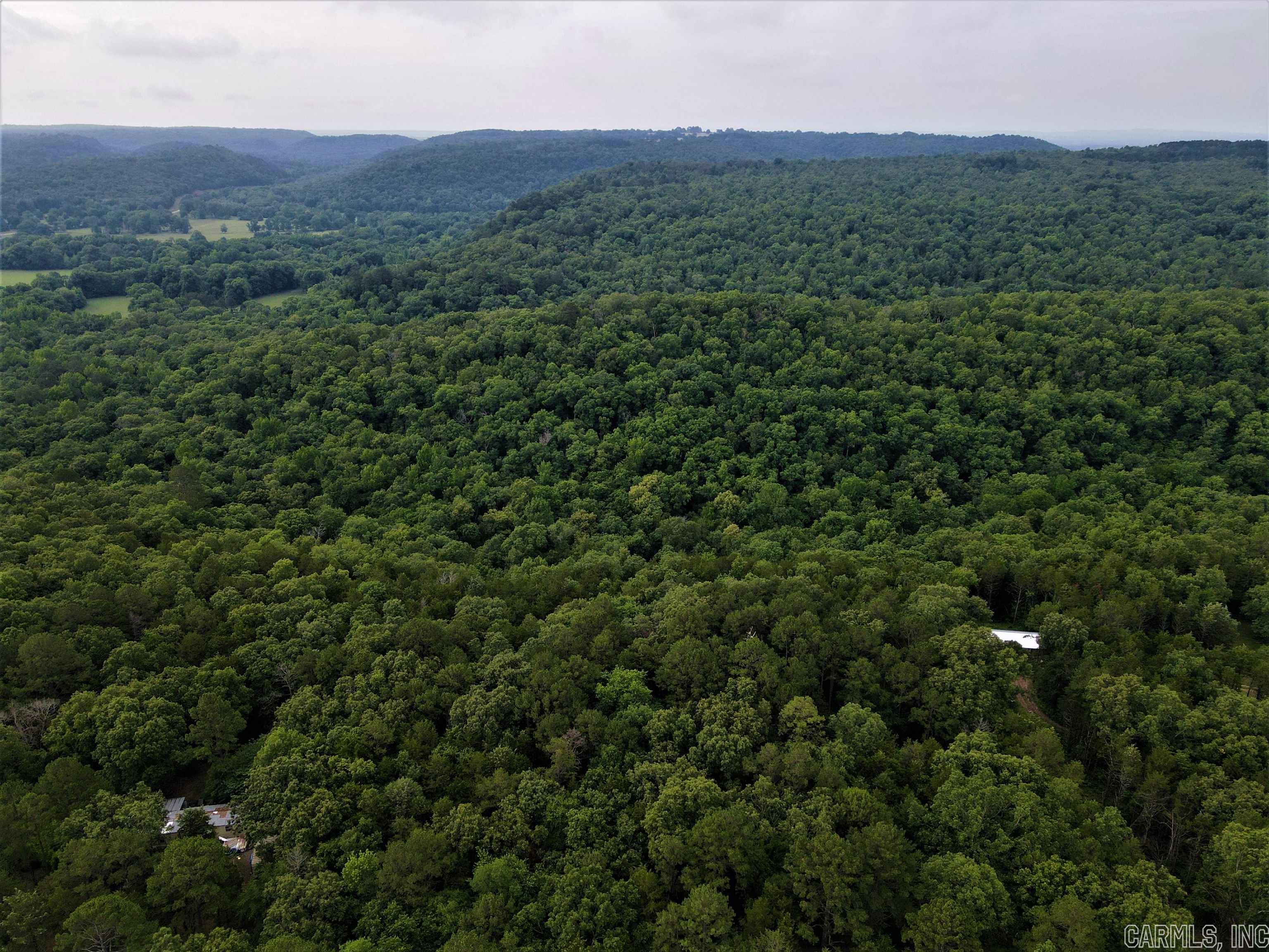 - 7.8 +/- acres of timber - Owner Financing Available - Numerous build sites - Access to Holiday Lake - Utilities near the property - Mature hardwood trees - Wet weather creek - County road frontage - Great topography - Healthy deer population - 13 miles to Morrilton - 30 miles to Conway